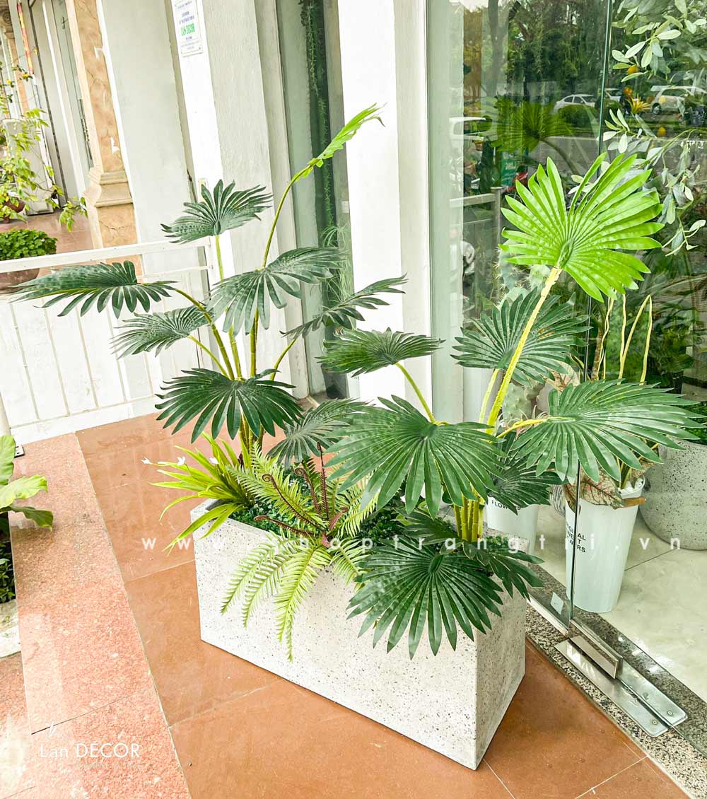 BỒN CÂY CỌ TRANG TRÍ TIỂU CẢNH - BC046