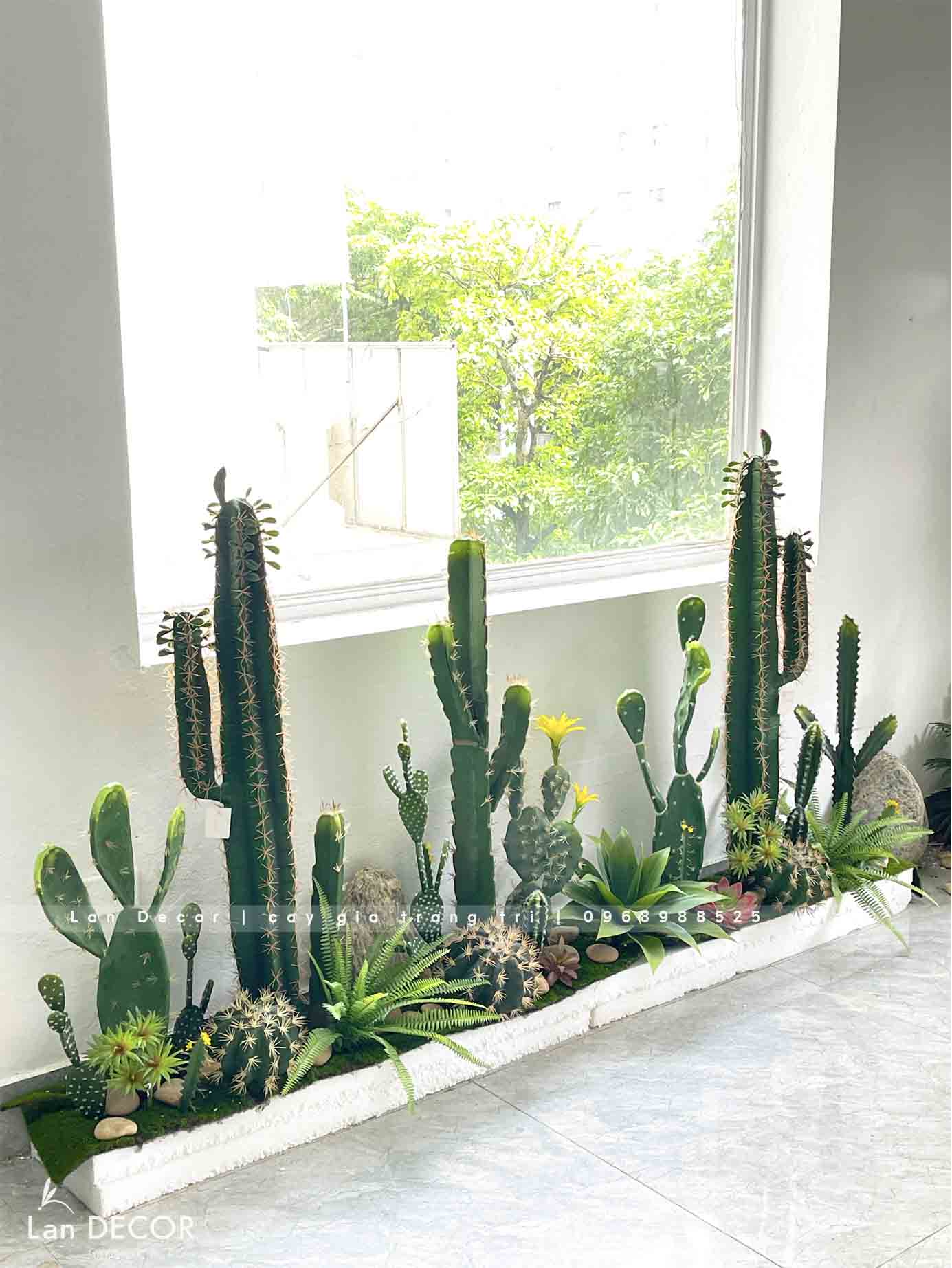 BỒN RÊU XƯƠNG RỒNG TRANG TRÍ QUÁN CAFE ( 2mX25cmX90cm)- RC044