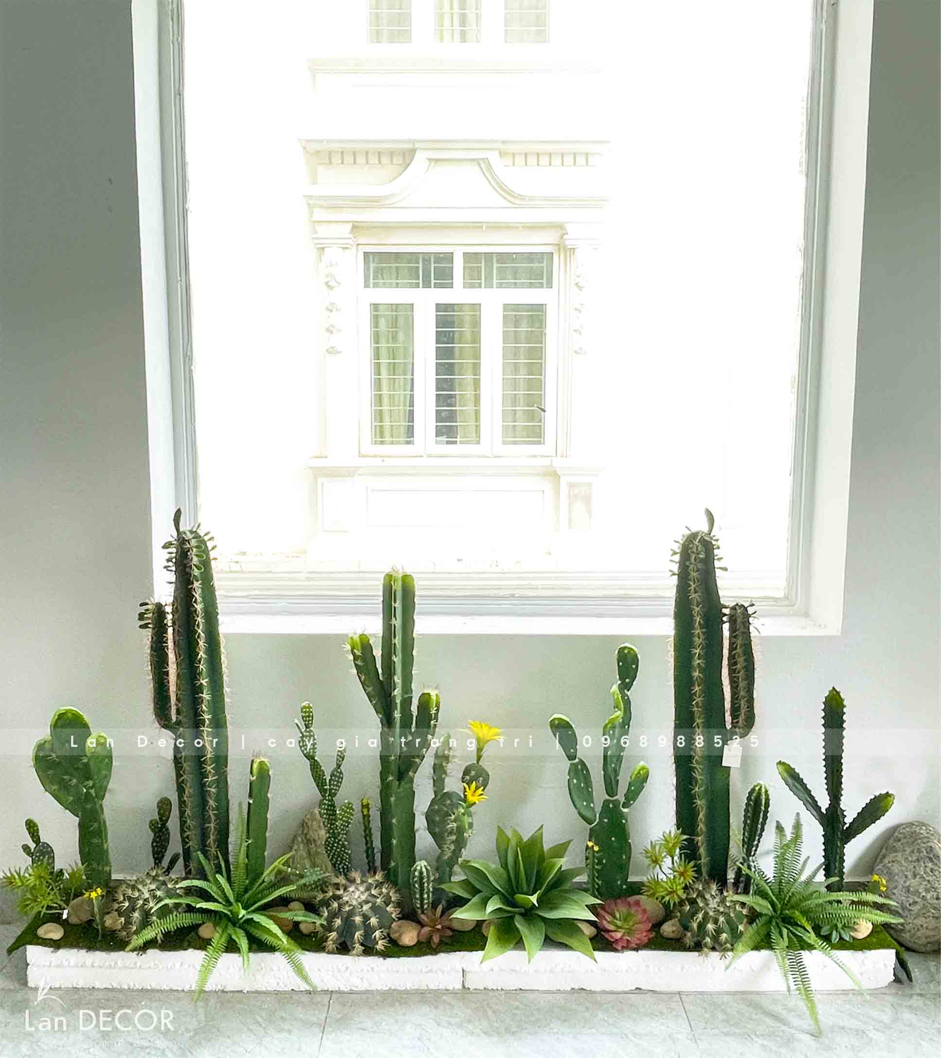 BỒN RÊU XƯƠNG RỒNG TRANG TRÍ QUÁN CAFE ( 2mX25cmX90cm)- RC044