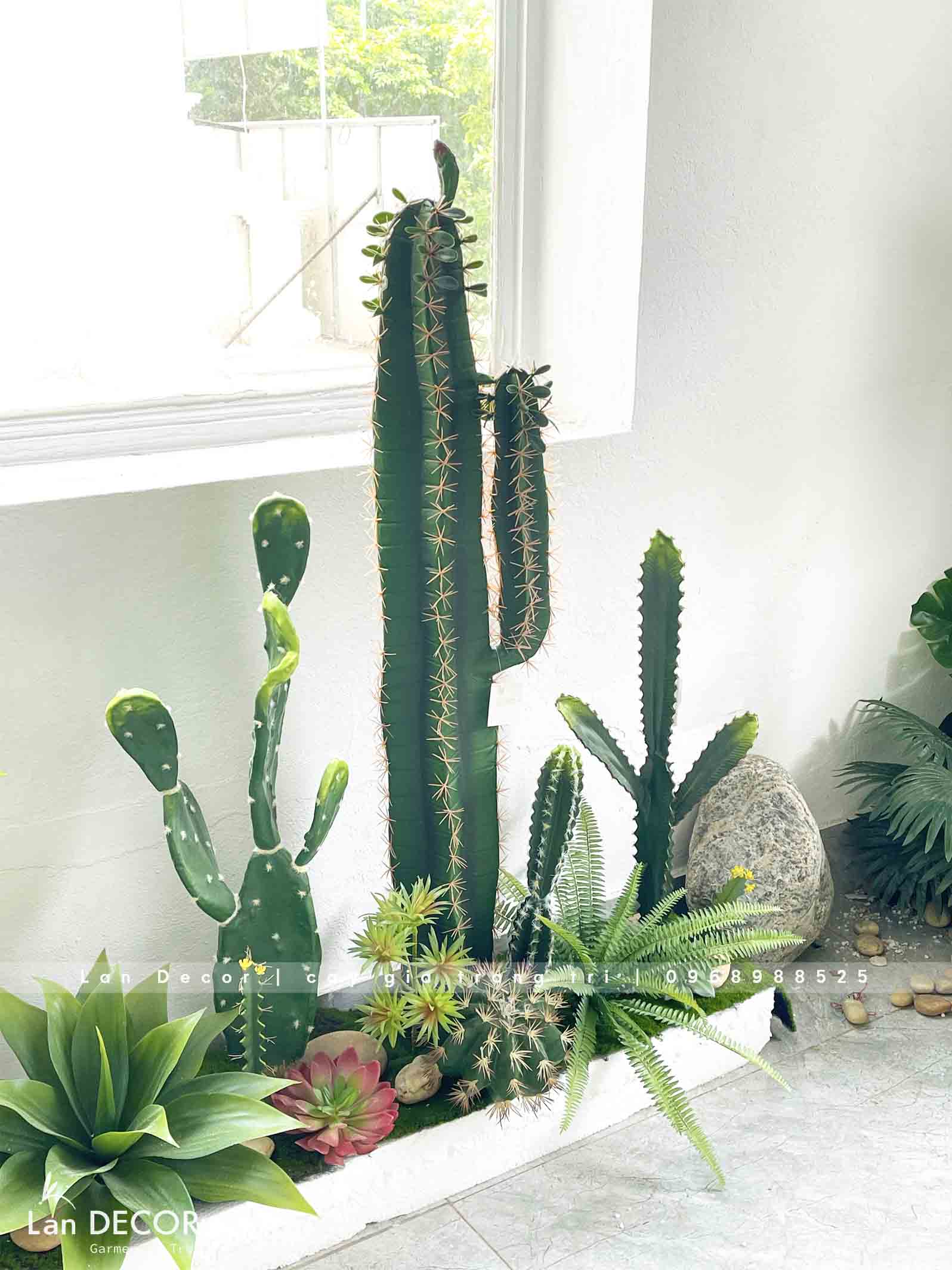 BỒN RÊU XƯƠNG RỒNG TRANG TRÍ QUÁN CAFE ( 2mX25cmX90cm)- RC044