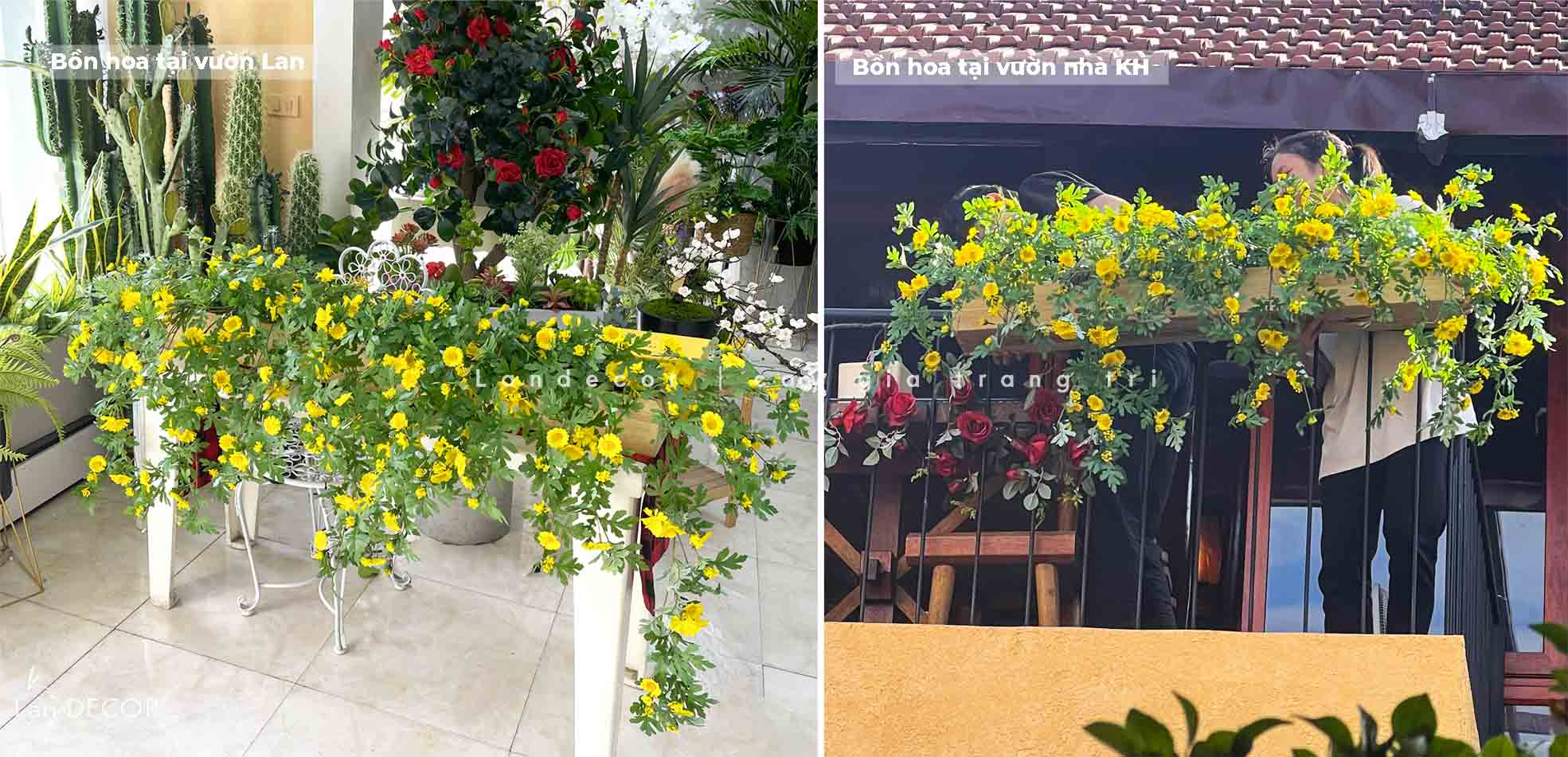 FEEDBACH HOA DÃ QUỲ RỰC RỠ TRONG KHÔNG GIAN CỦA KHÁCH HÀNG