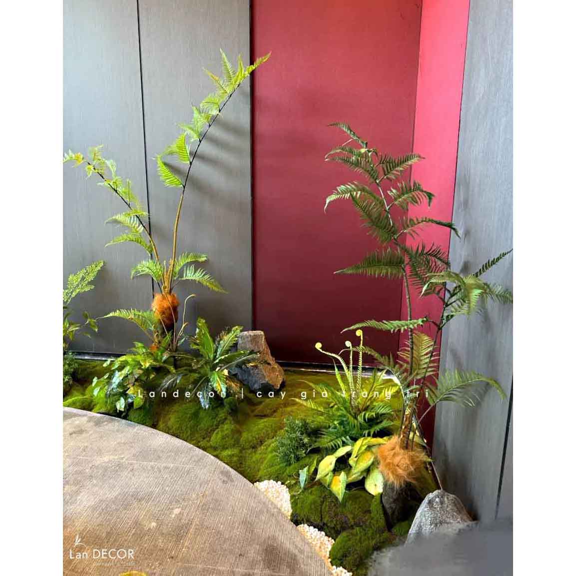 Dương Xỉ Giả- Dương Xỉ Culi Thiết Kế Lan Decor, trang trí tiểu cảnh rêu độc đáo (125cm)- CC1115
