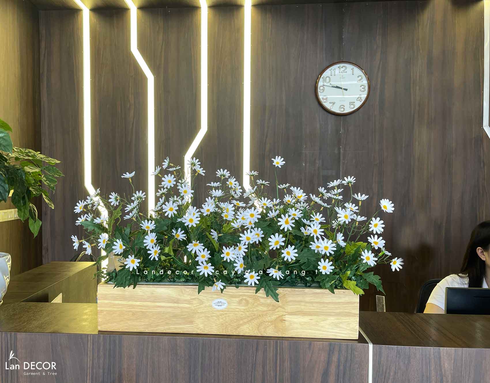 Bồn Hoa Giả- Bồn Hoa Cúc Họa Mi Trang Trí Văn Phòng Làm Việc (80X40X40CM)- BC179