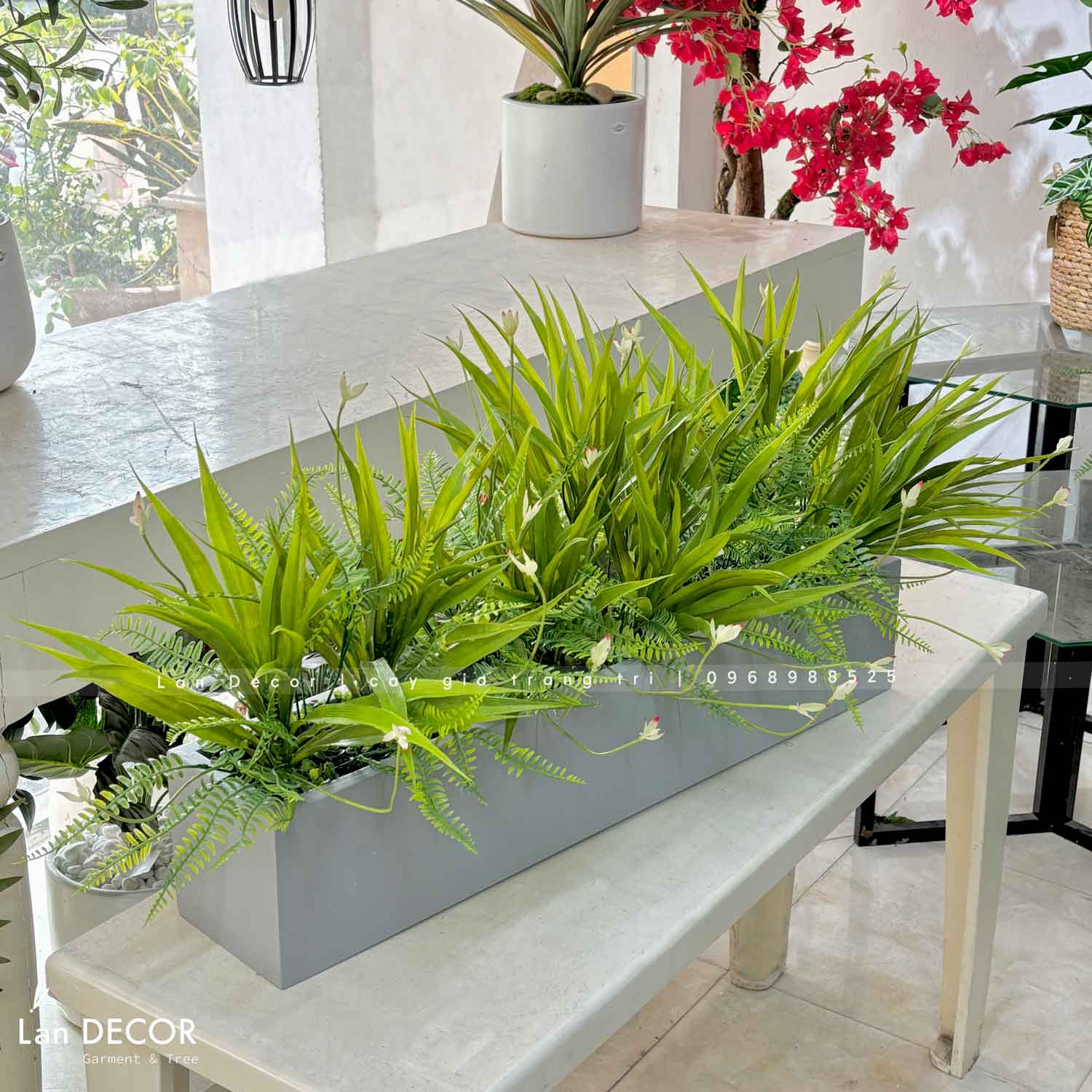 Bồn Cây Tiểu Cảnh- Bồn Lan Trắng Trang Trí Không Gian (80x15x15cm)- CC1000