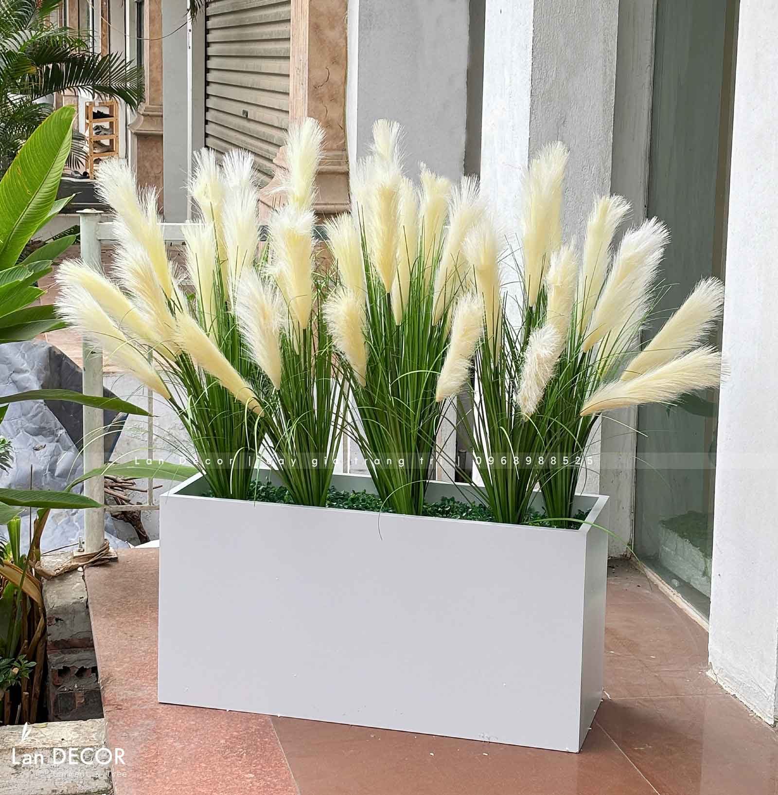 BỒN LAU SẬY TRẮNG TRANG TRÍ TIỂU CẢNH - BC055