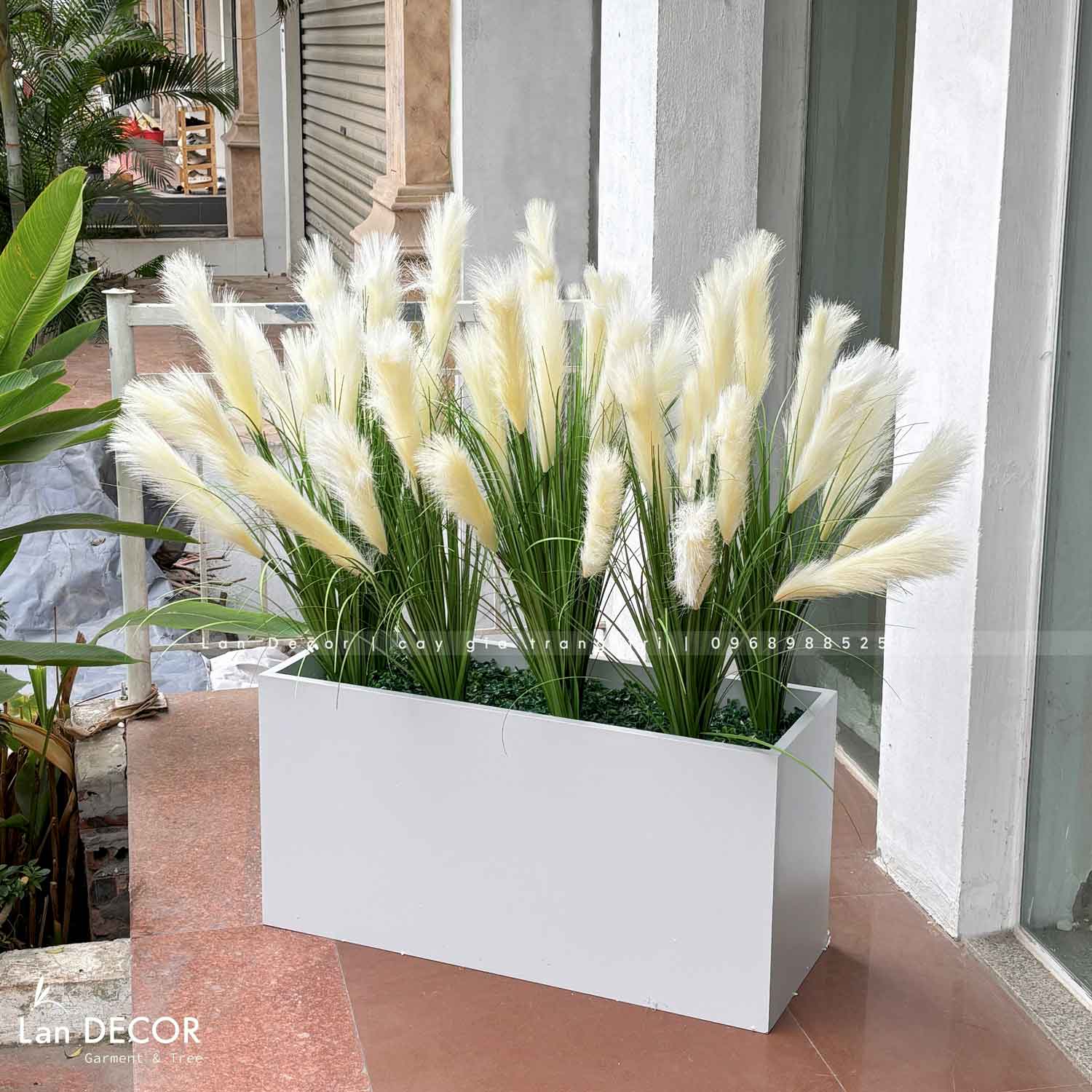 BỒN LAU SẬY TRẮNG TRANG TRÍ TIỂU CẢNH - BC055