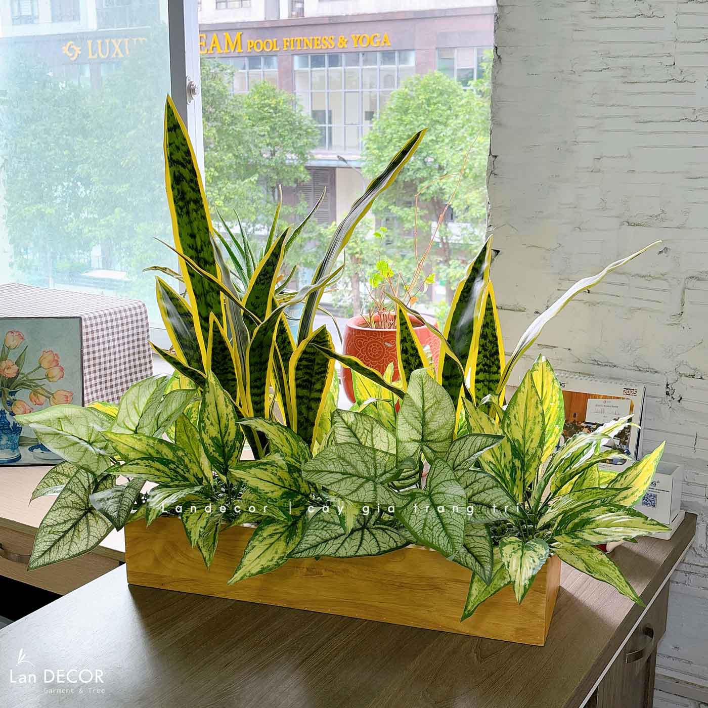 Bồn Cây Giả Decor- Bồn Cây Lưỡi Hổ Giả Decor Văn Phòng Xanh- BC172
