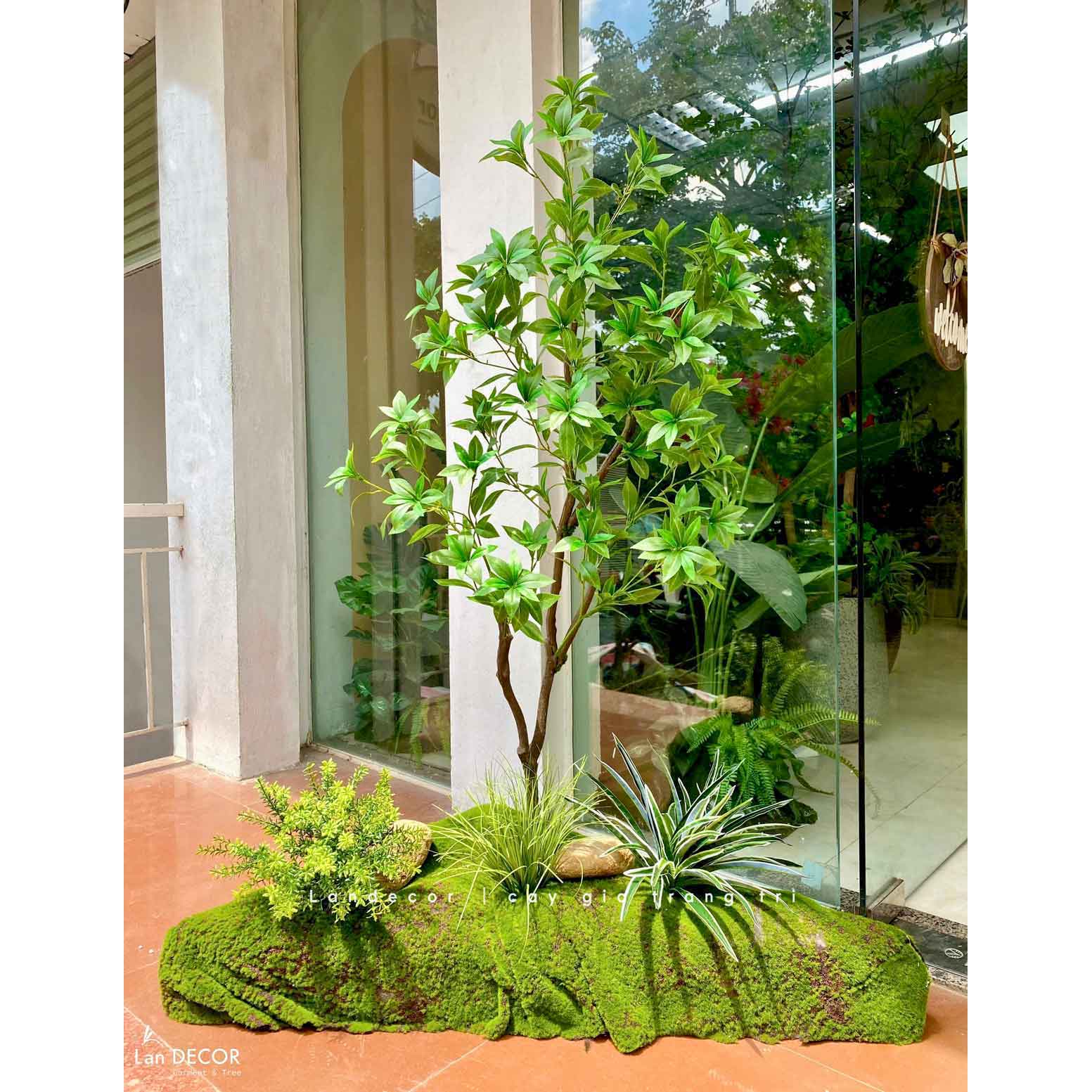 Tiểu Cảnh Rêu Cây- Bồn Rêu Cây Asebi Thiết Kế Lan Decor, Trang Trí Tiểu Cảnh Căn Hộ (117x64x160cm)- RC096