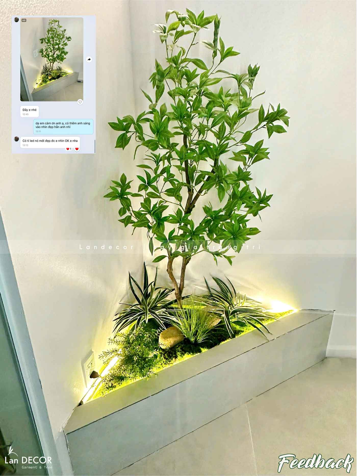 Tiểu Cảnh Rêu Cây- Bồn Rêu Cây Asebi Thiết Kế Lan Decor, Trang Trí Tiểu Cảnh Căn Hộ (117x64x160cm)- RC096