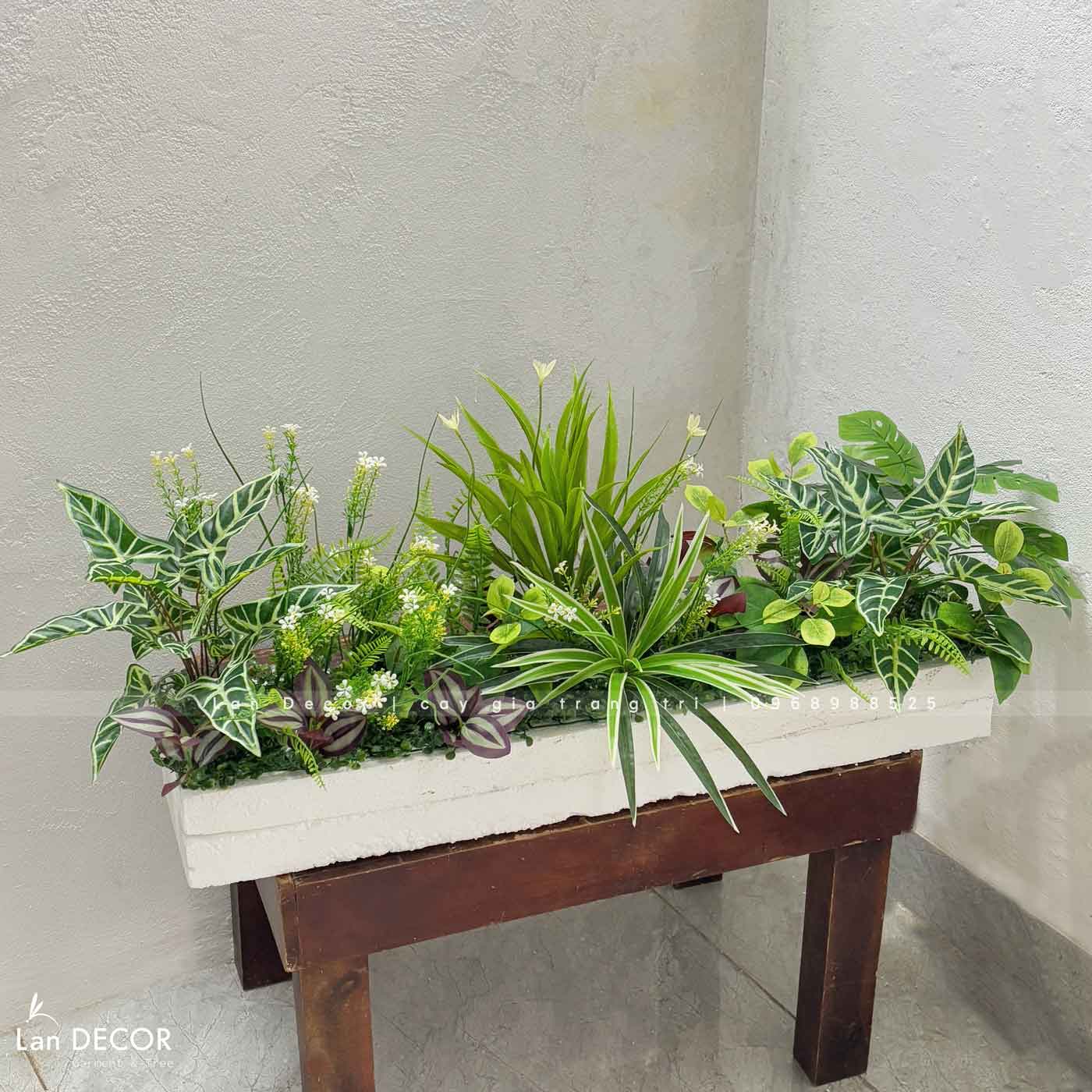 Bồn Cây Tiểu Cảnh- Bồn Cành Lá Xanh Trang Trí Không Gian - BC143