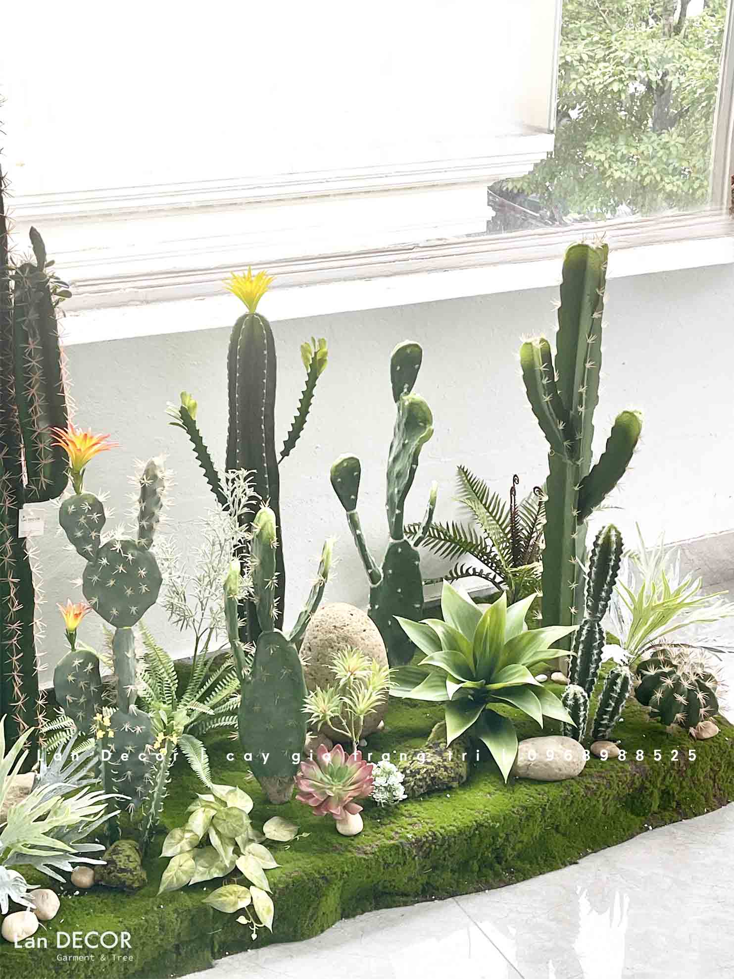 THIẾT KẾ BỒN RÊU XƯƠNG RỒNG CHO KHÁCH HÀNG KĐT TRUNG VĂN- CT315