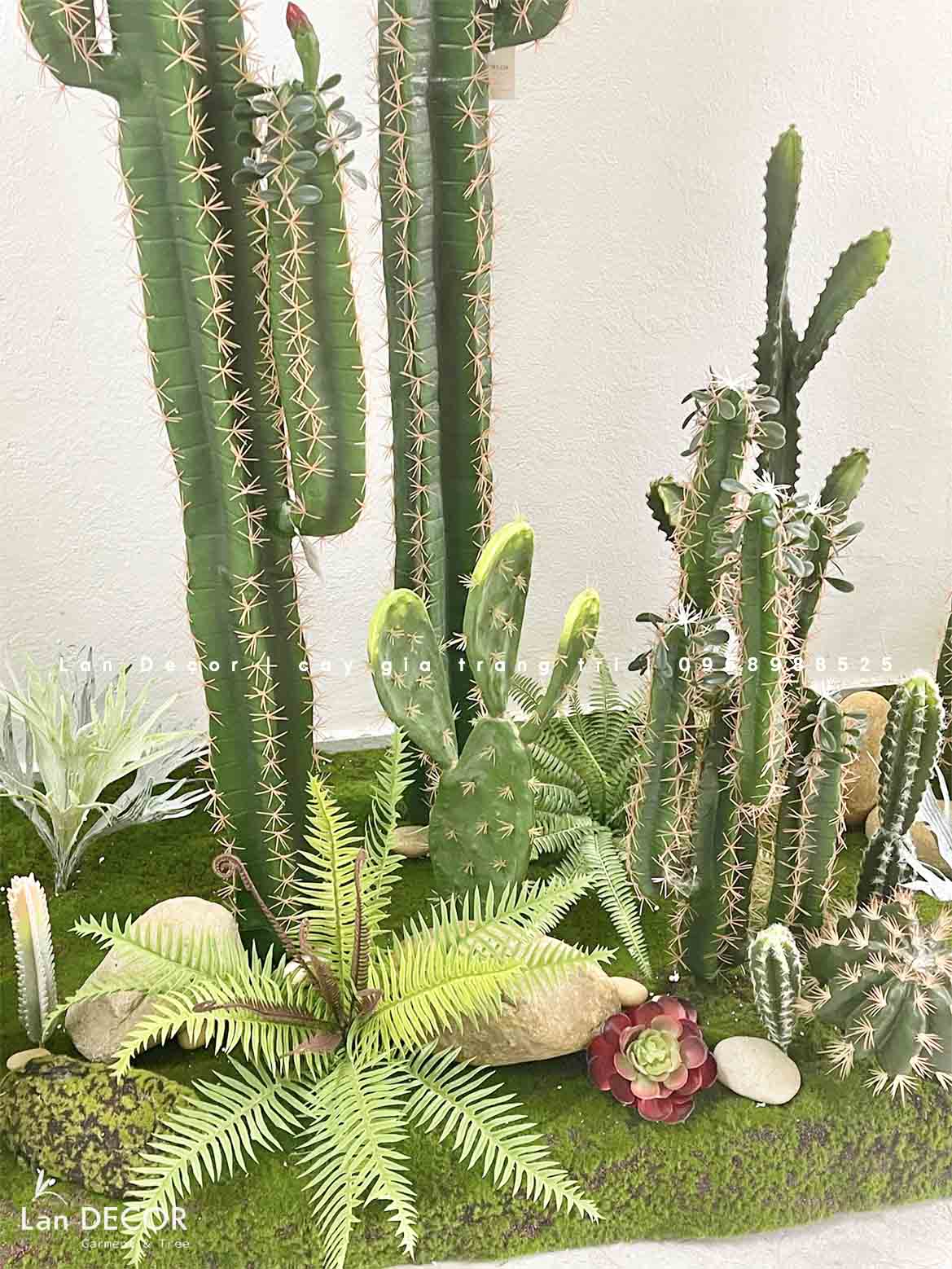 THIẾT KẾ BỒN RÊU XƯƠNG RỒNG CHO KHÁCH HÀNG KĐT TRUNG VĂN- CT315