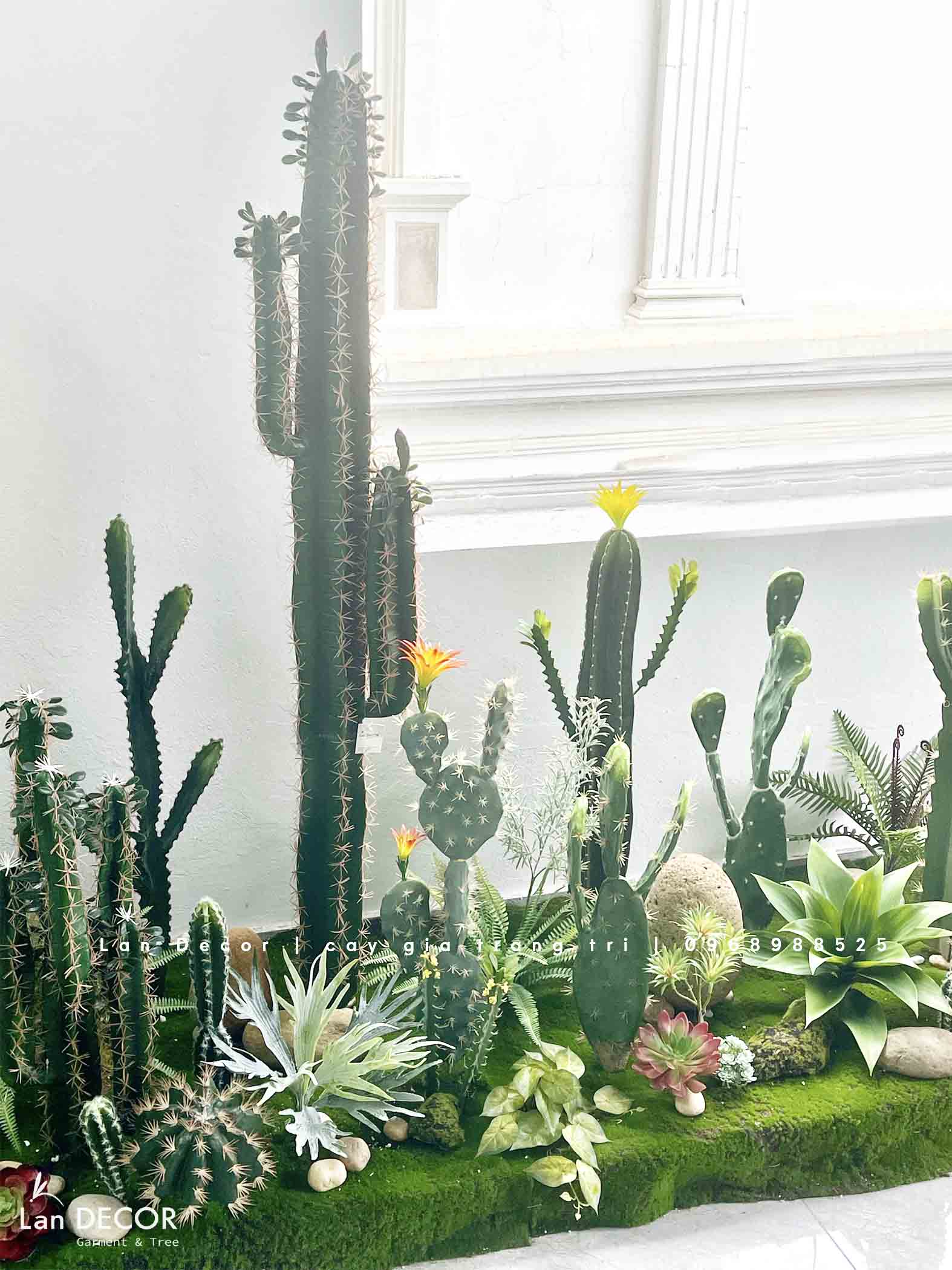 THIẾT KẾ BỒN RÊU XƯƠNG RỒNG CHO KHÁCH HÀNG KĐT TRUNG VĂN- CT315