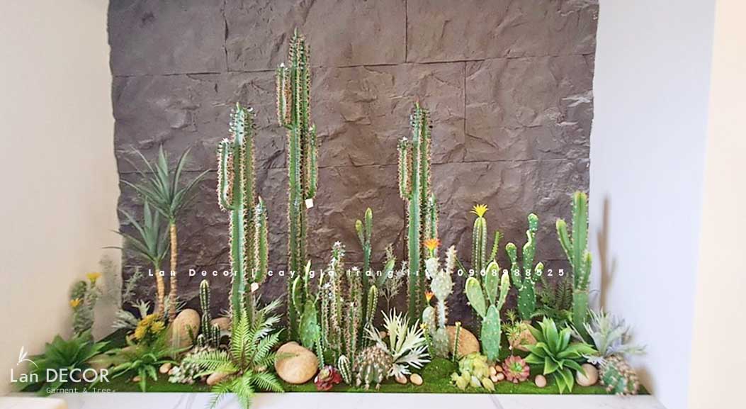 THIẾT KẾ BỒN RÊU XƯƠNG RỒNG CHO KHÁCH HÀNG KĐT TRUNG VĂN- CT315