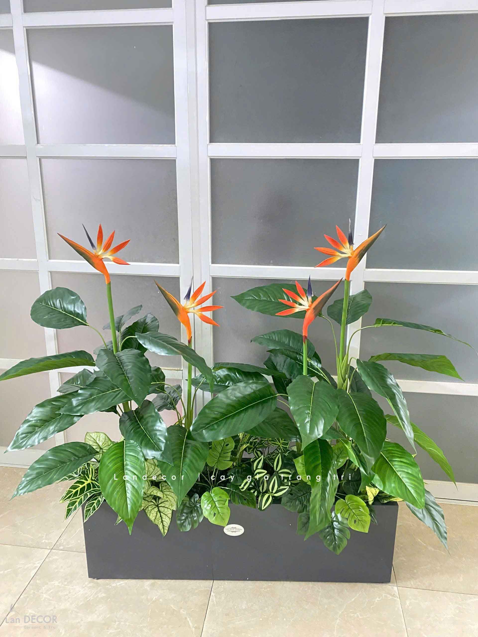 CÂY THIÊN ĐIỂU CÂY HOA THIÊN ĐƯỜNG TRANG TRÍ (100cm) - LC2947