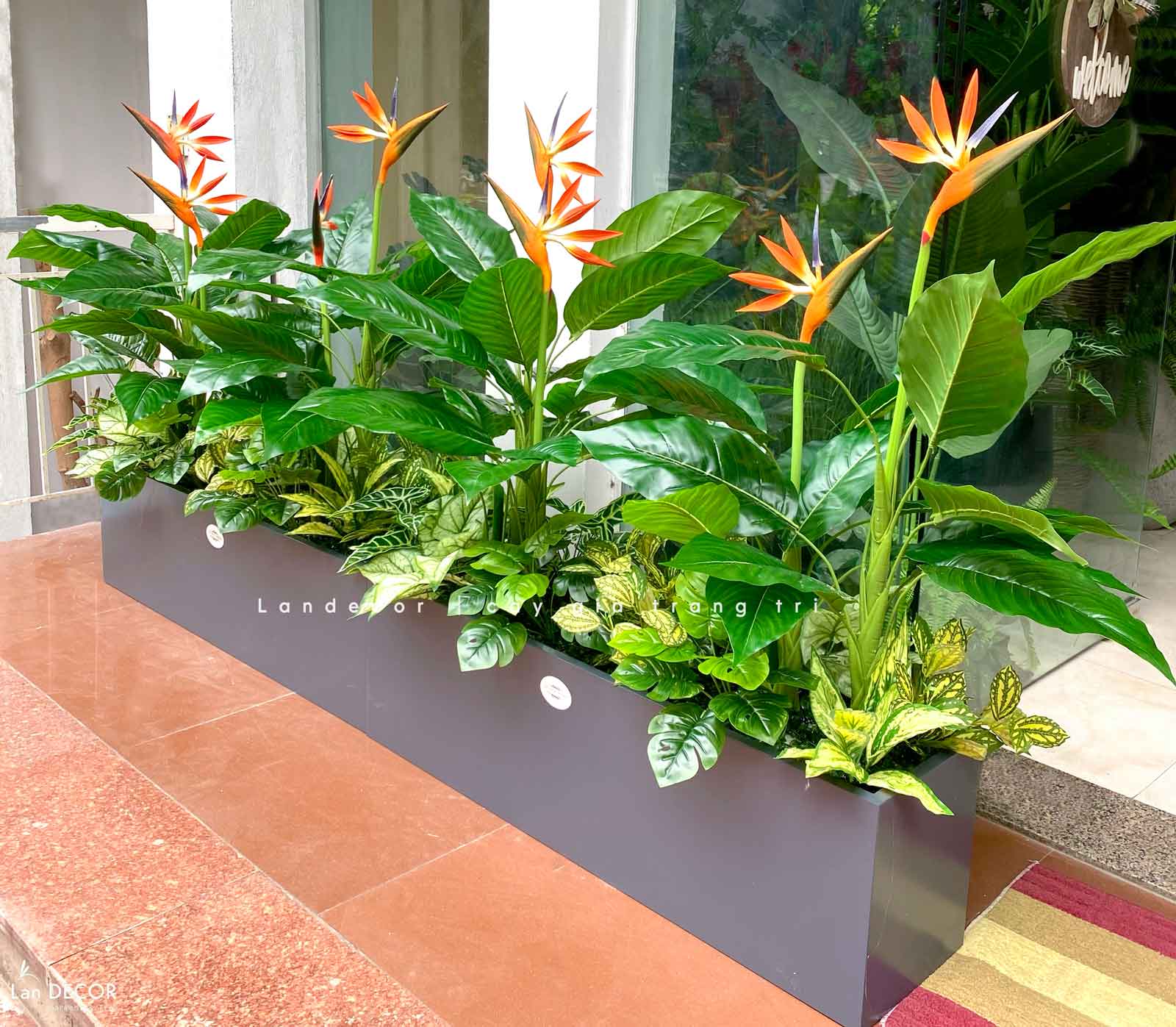 CÂY THIÊN ĐIỂU CÂY HOA THIÊN ĐƯỜNG TRANG TRÍ (100cm) - LC2947