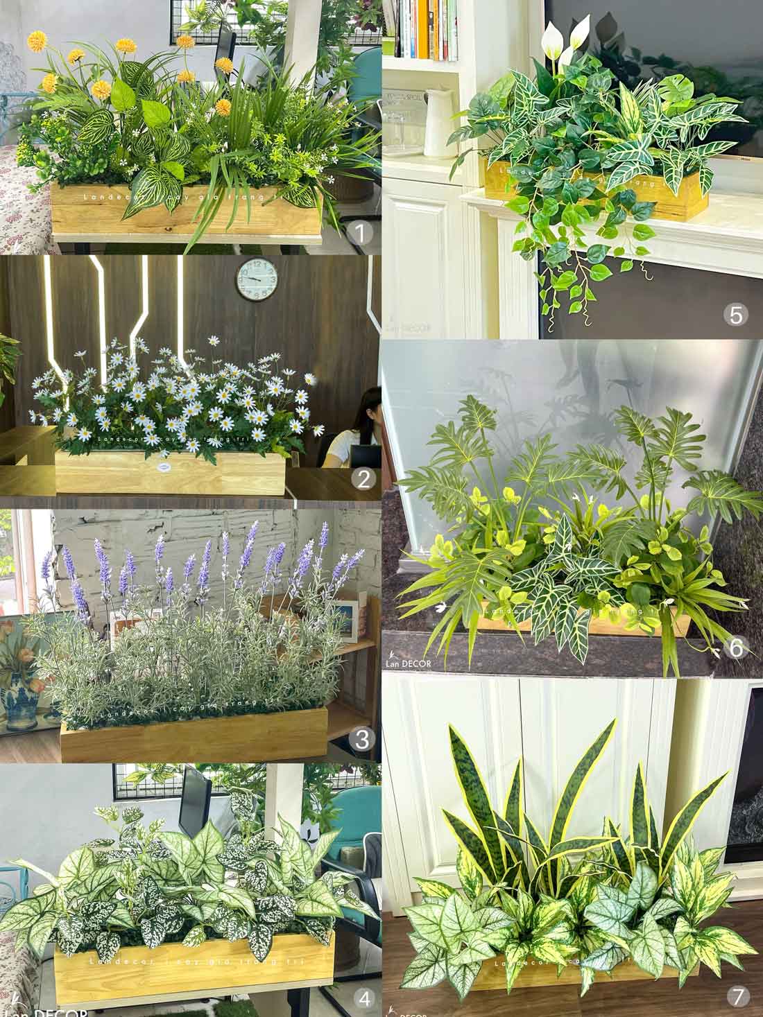 Bồn Hoa Oải Hương Decor- Tiểu Cảnh Hoa Oải Hương Thiết Kế Không Gian (75X30X55CM)- BC185