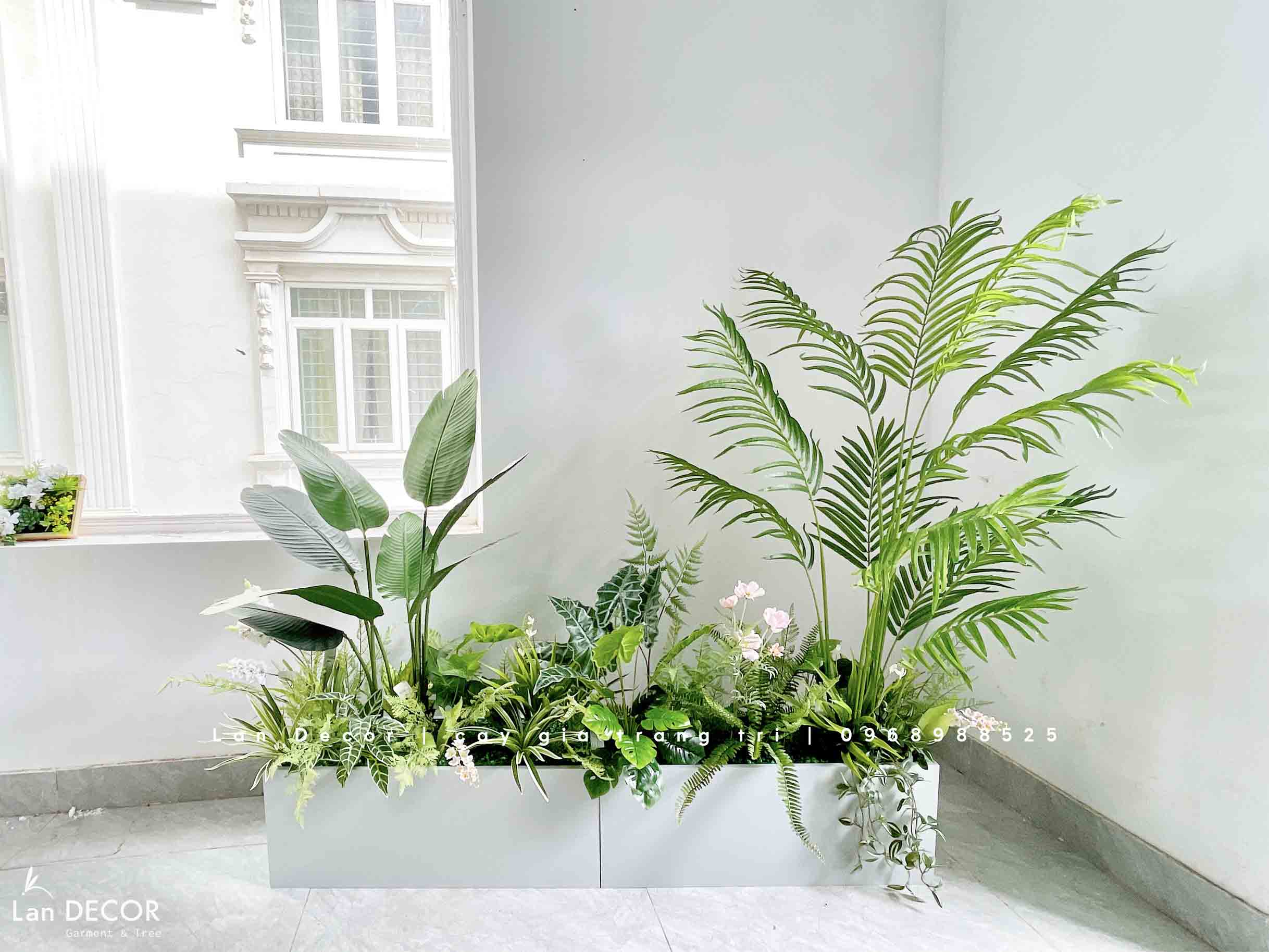 Bồn Cây Tiểu Cảnh- Bồn Cây Thiết Kế Trang Trí Nội Thất Xanh Tươi (160x30x160cm)- CC952