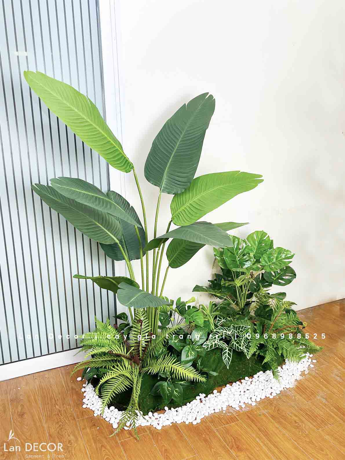 BỒN RÊU CHUỐI RẺ QUẠT MIX TIỂU CẢNH XANH MÁT- RC024