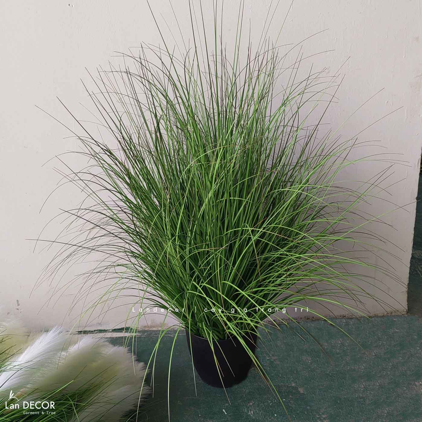 Bụi Cây Tiểu Cảnh- Bụi Cỏ Hành Giả Trang Trí Không Gian Xanh (30x50CM)- CC1074