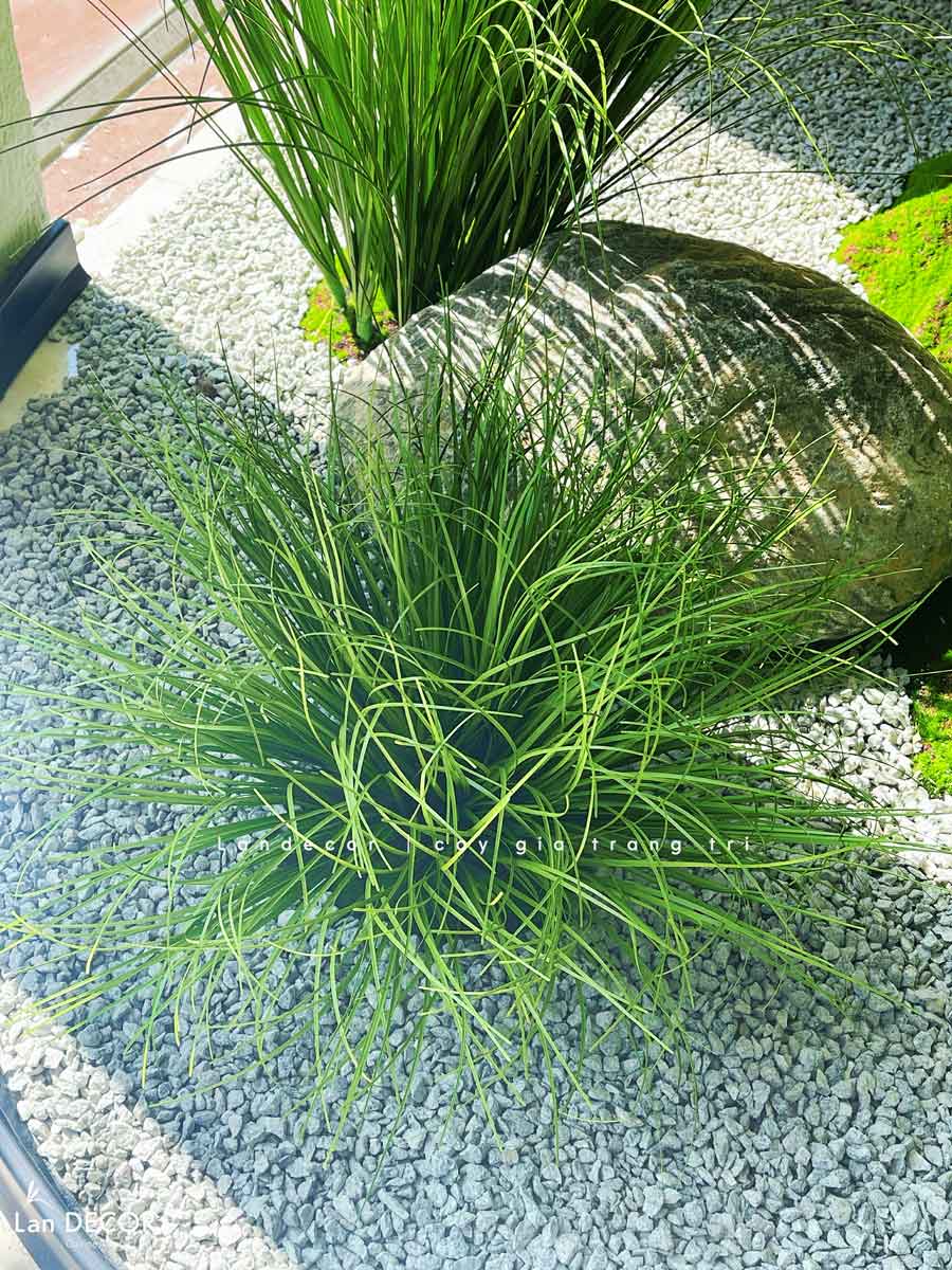 Tiểu Cảnh Cây Giả- Thiết Kế Tiểu Cảnh Cây OLive Giả Trang Trí Không Gian Rộng, Cây Oliu Đẹp (280X145X285CM) - RC119