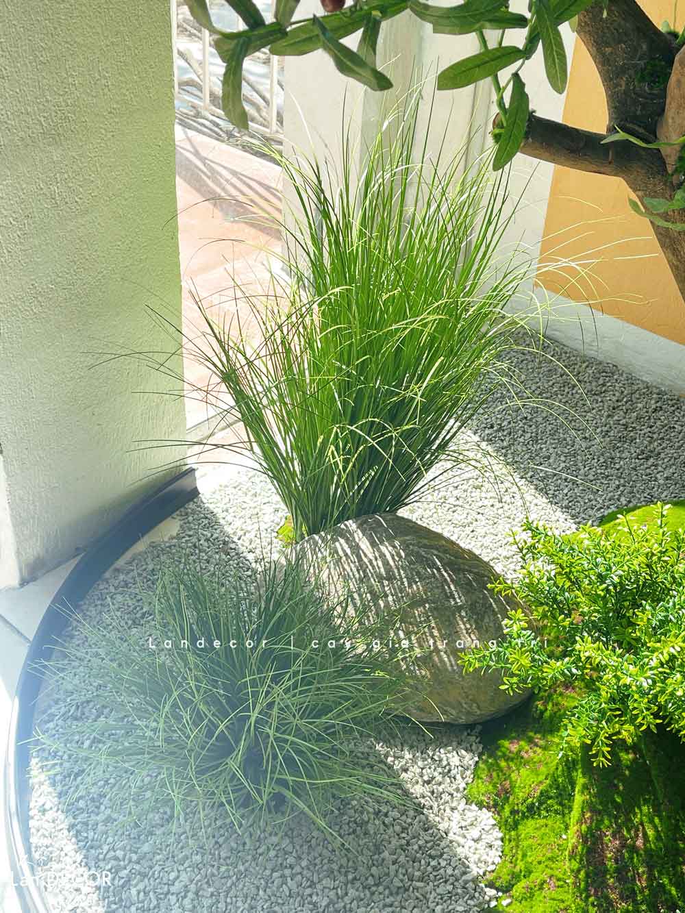 Tiểu Cảnh Cây Giả- Thiết Kế Tiểu Cảnh Cây OLive Giả Trang Trí Không Gian Rộng, Cây Oliu Đẹp (280X145X285CM) - RC119