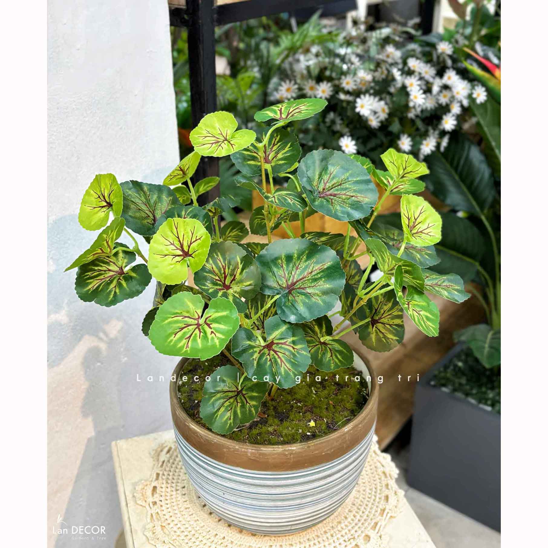 Cây Giả Để Bàn - Chậu Cây Sen Cạn Giả Trang Trí Để Bàn (45cm) - CC1470