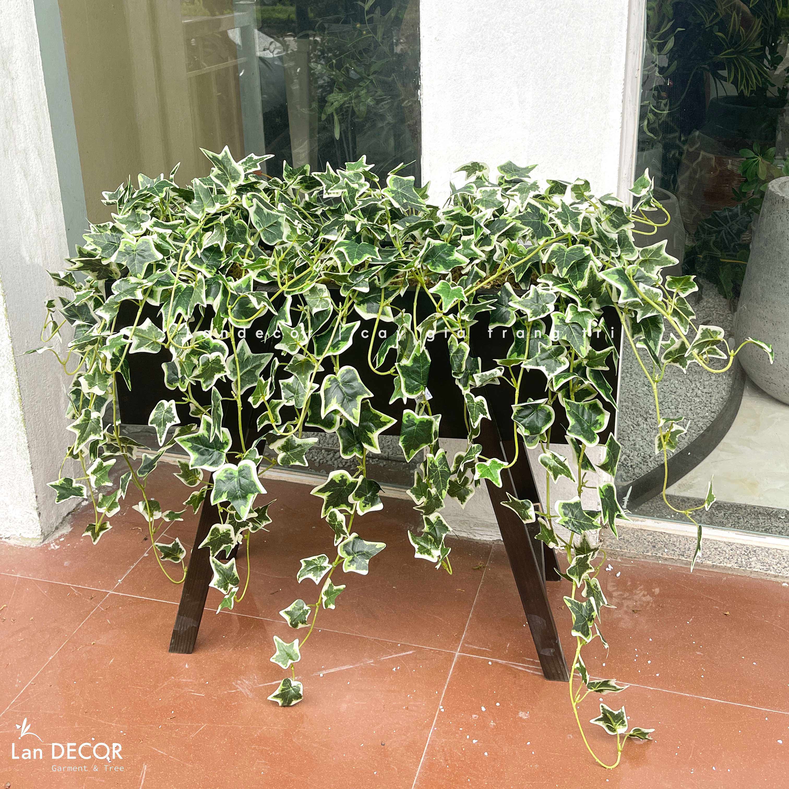Kệ Cây Rủ Giả - Kệ Cây Thường Xuân Rủ Giả Decor Tiểu Cảnh Độc Đáo (90X40X80cm)- BC287