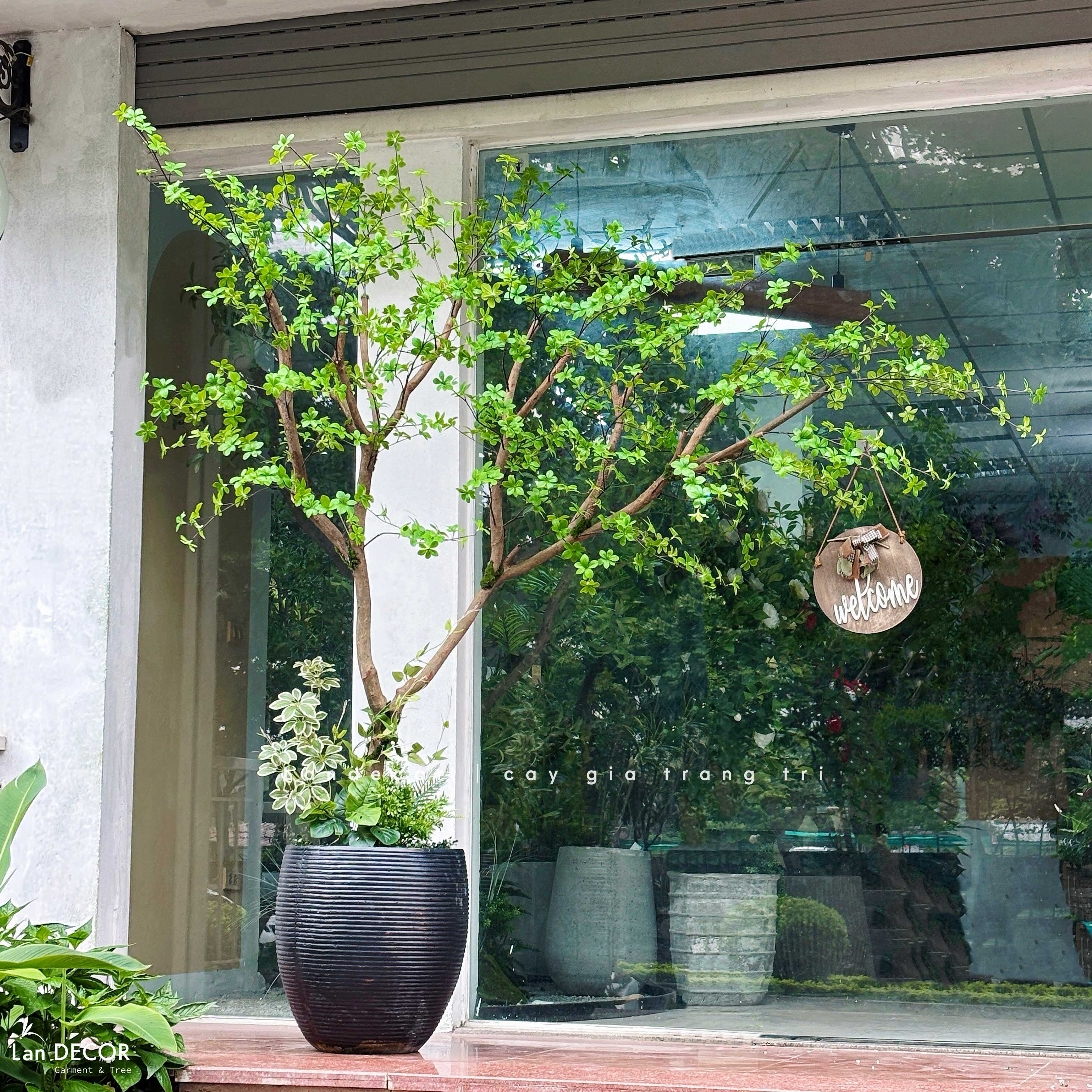 Cây Giả- Cây Thạch Nam Tiểu Cảnh Thiết Kế Không Gian (220cm)- CC1356