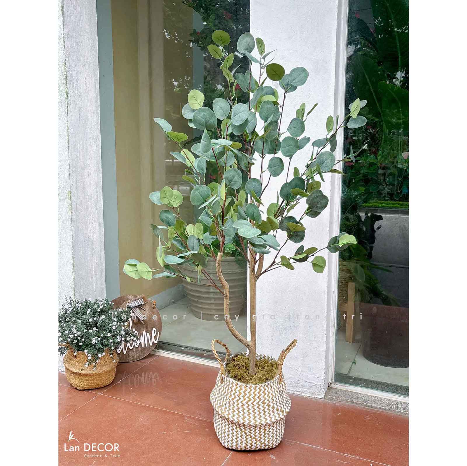 Cây Giả Decor - Cây Bạch Đàn Giả Trang Trí Không Gian - CC1449