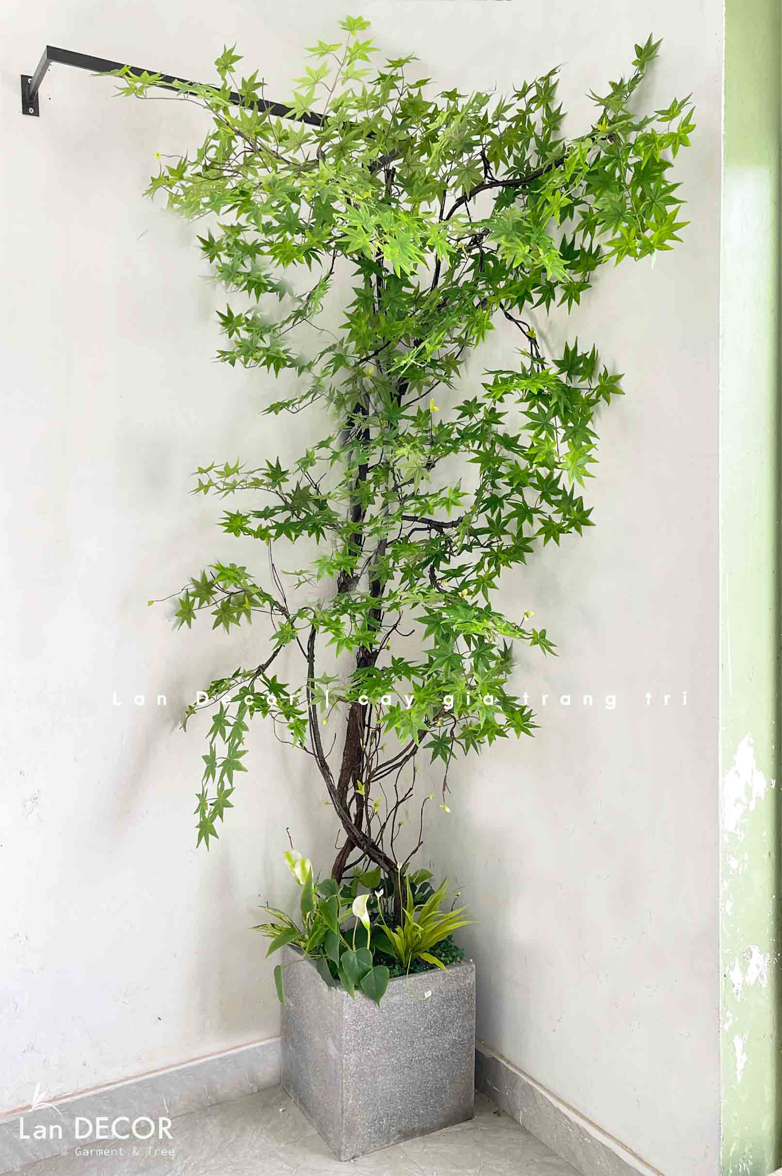 DÂY PHONG LEO THIẾT KẾ TRANG TRÍ TƯỜNG, BAN CÔNG XANH MÁT- CC831