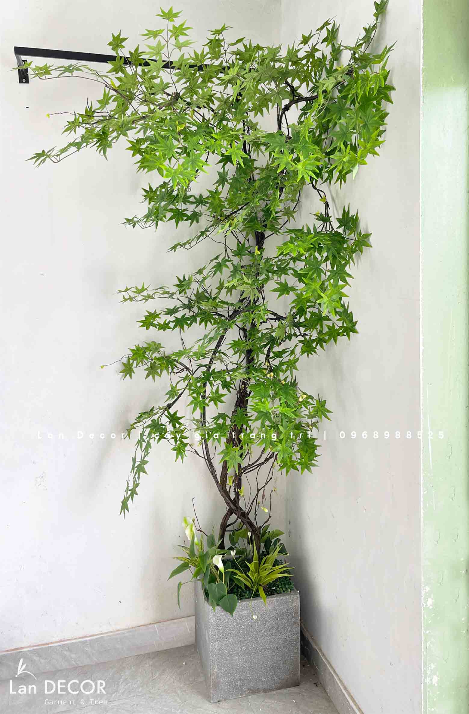 DÂY PHONG LEO THIẾT KẾ TRANG TRÍ TƯỜNG, BAN CÔNG XANH MÁT- CC831