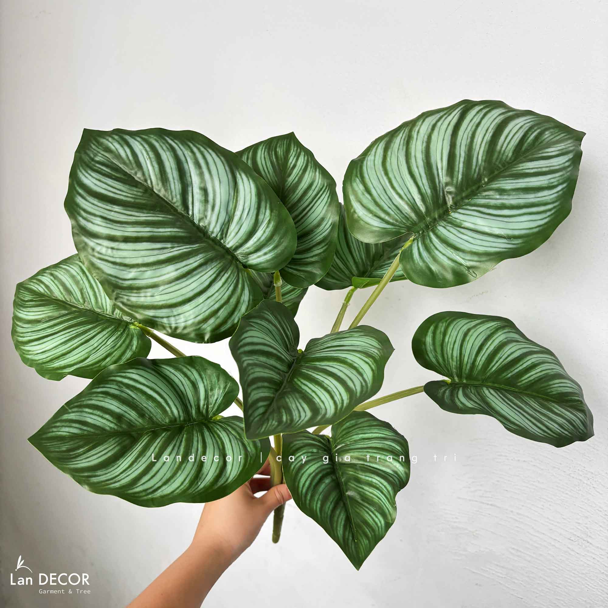 Cành Lá Giả- Cành Đuôi Công Xanh Giả Decor (60cm, 10 lá)- HC1316