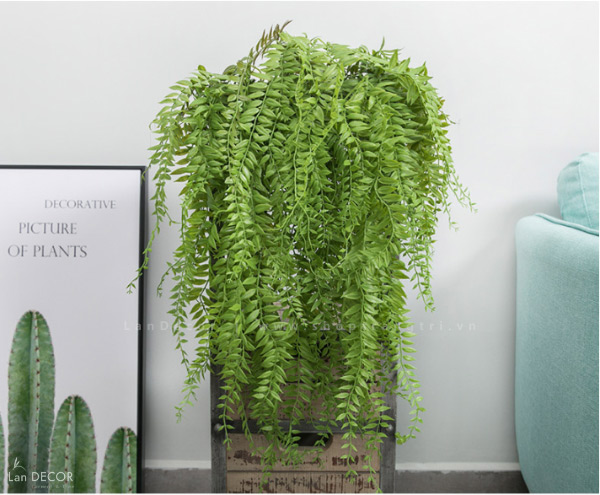 Cành Lá Giả Trang Trí, Cành Dương Xỉ Rủ Trang Trí Không Gian Xanh - HC1003