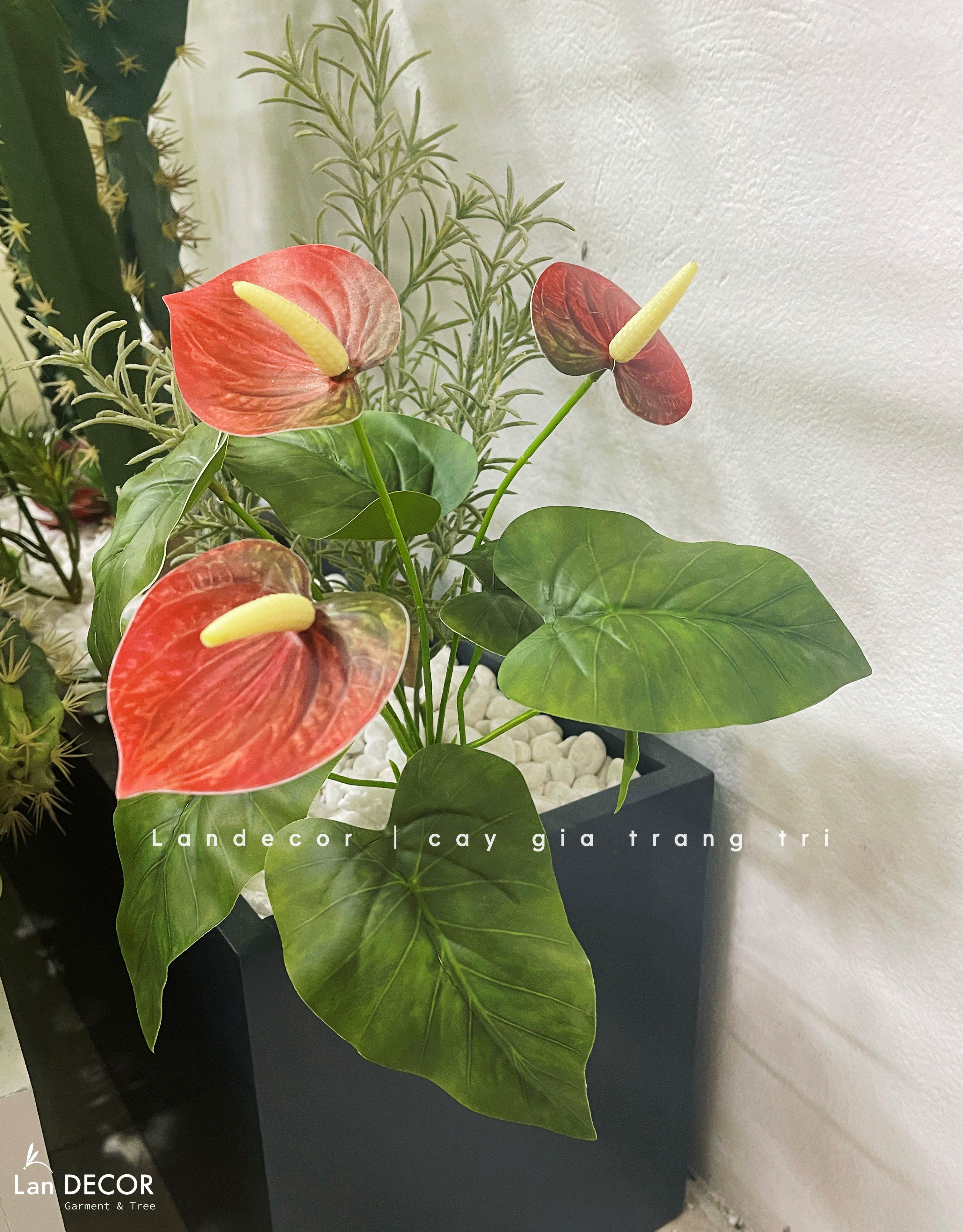 Cành Lá Giả Trang Trí- Cành Hồng Môn Giả Trang Trí Tiểu Cảnh (35cm)- HC1428