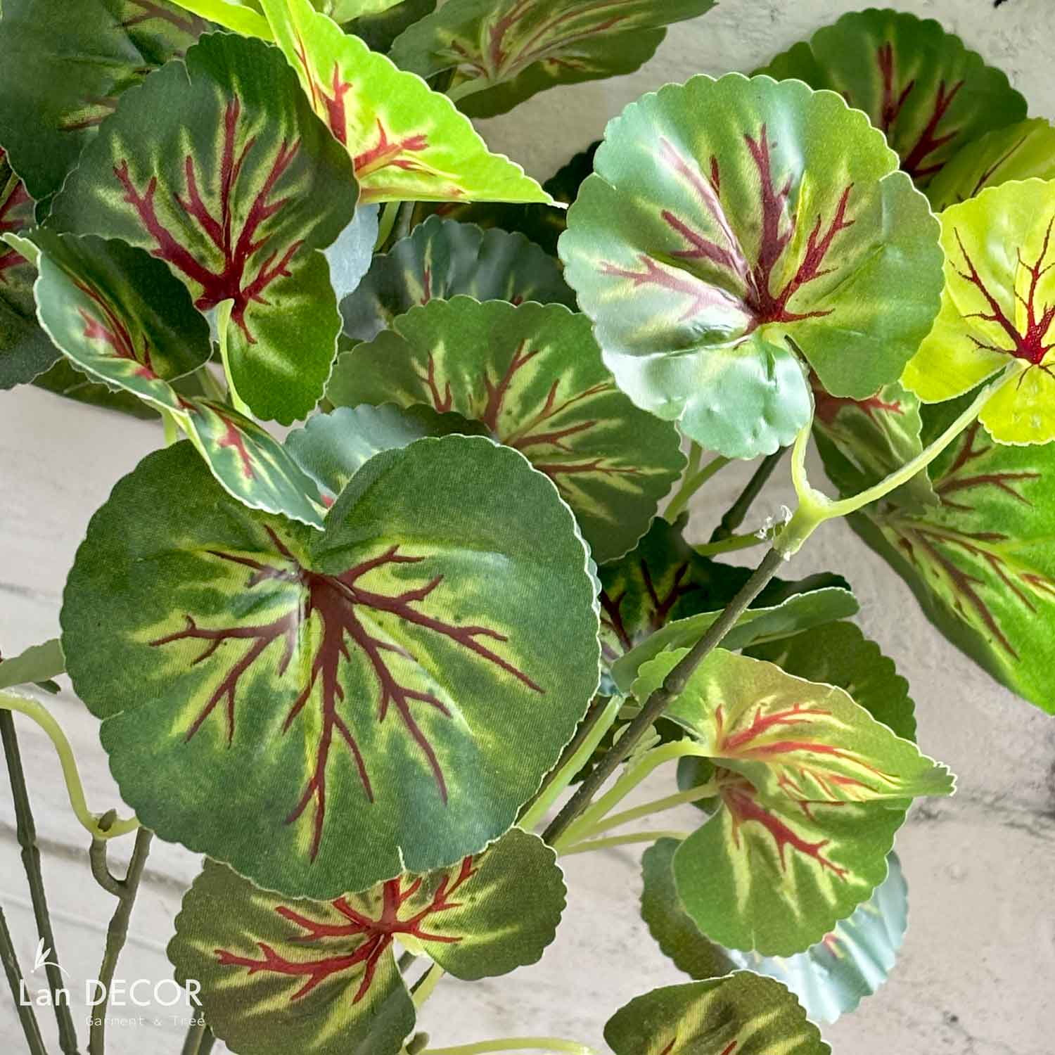 canh-la-gia
