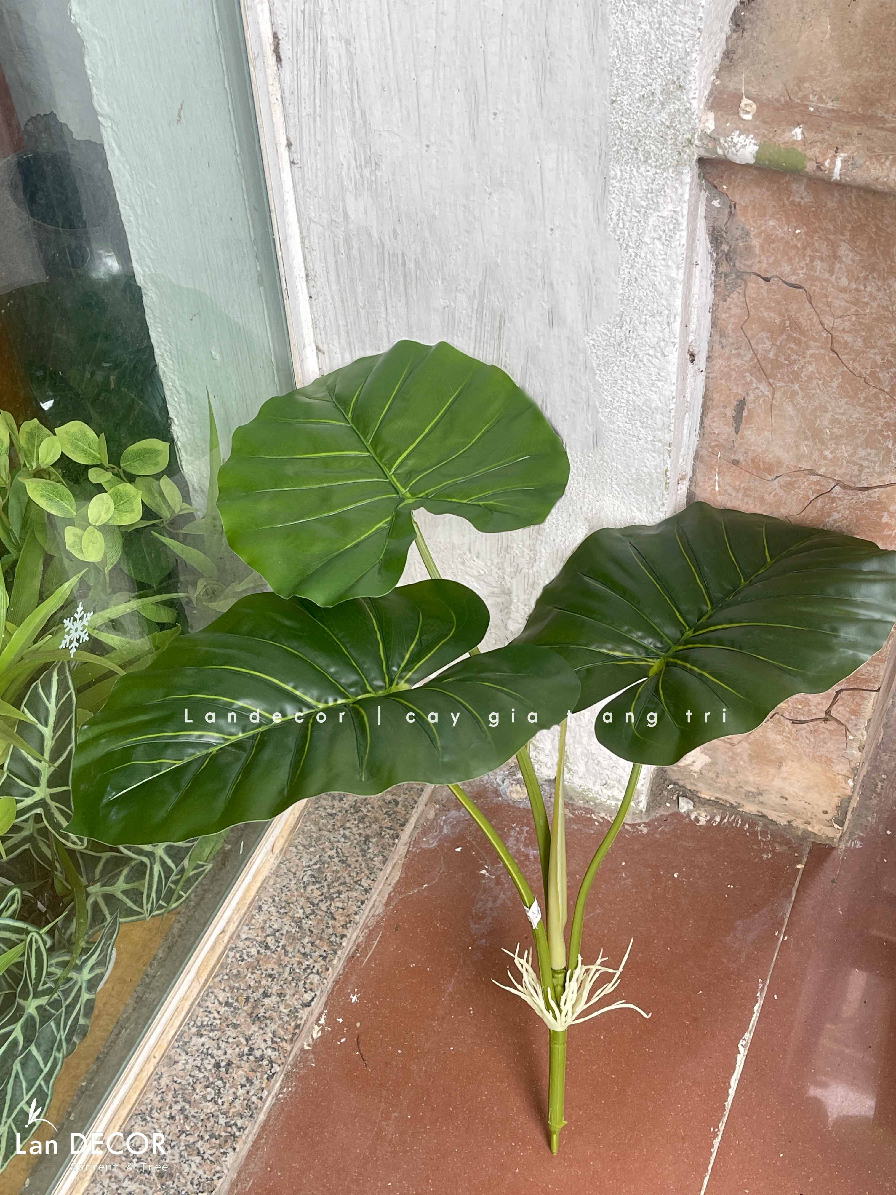 Cành Lá Giả Trang Trí- Cành Tai Voi Giả Trang Trí Tiểu Cảnh (70cm)- HC1420-xanh