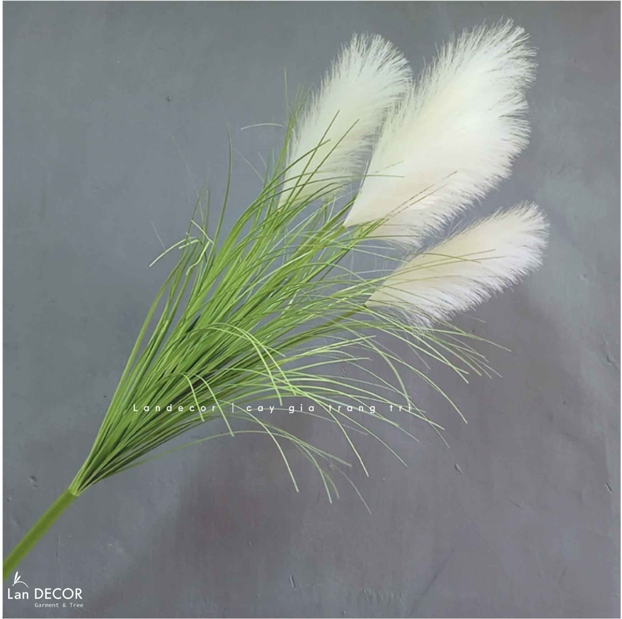 Cỏ Lau Giả- Cành Lau Trắng Giả Decor Phong Cách Đồng Nội (80-100cm)- CC1086-trắng
