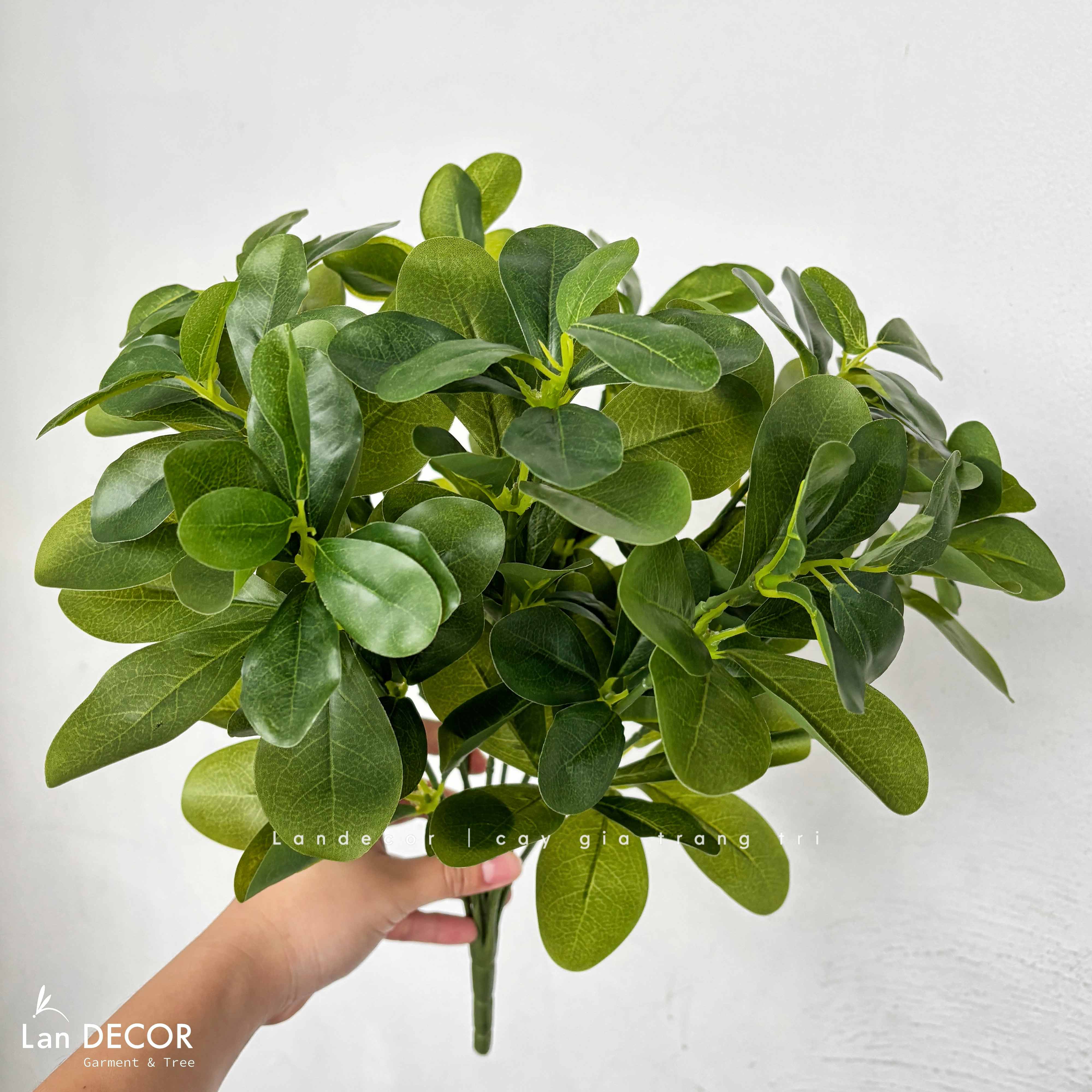 Cành Lá Gỉa Decor - Cành Ngũ Da Bì Xanh 9 Nhánh Trang Trí (40cm)- HC1378