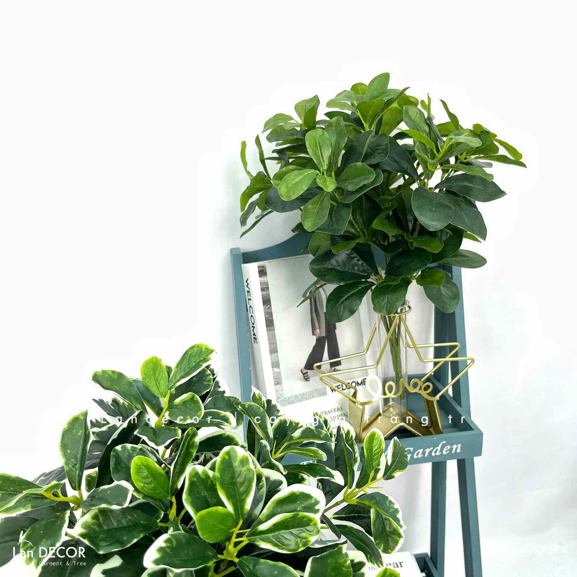 Cành Lá Gỉa Decor - Cành Ngũ Da Bì 7 Nhánh Trang Trí (40cm)- HC1377