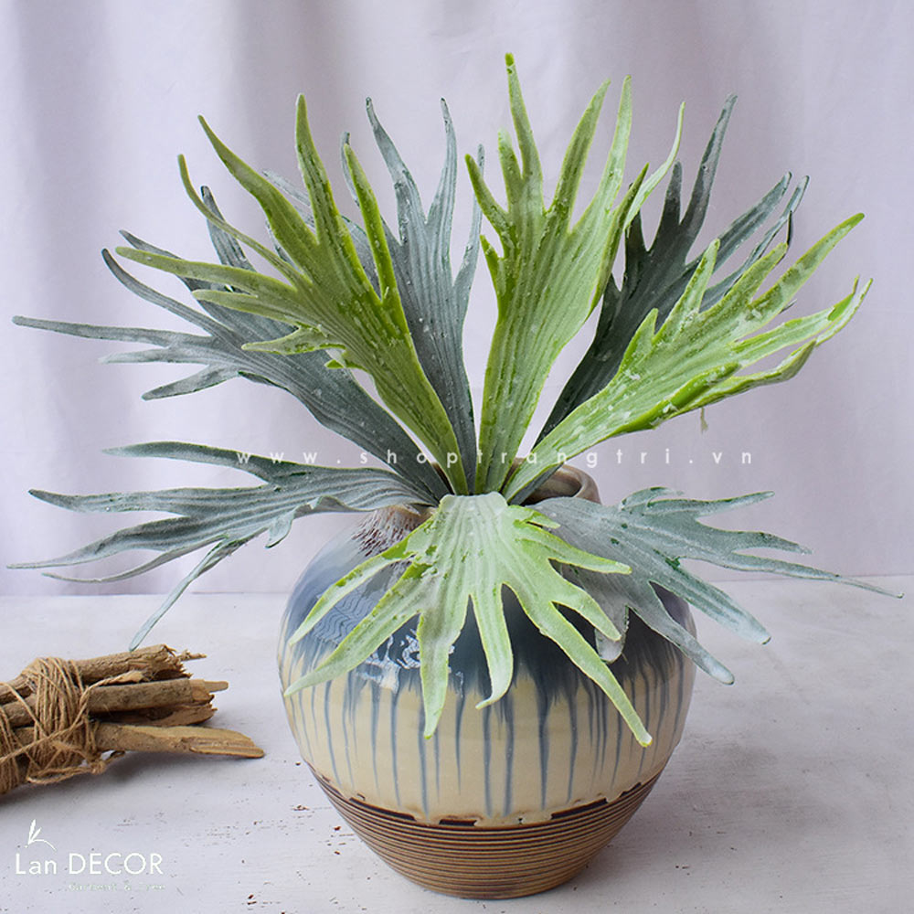 Cành ổ rồng - HC779