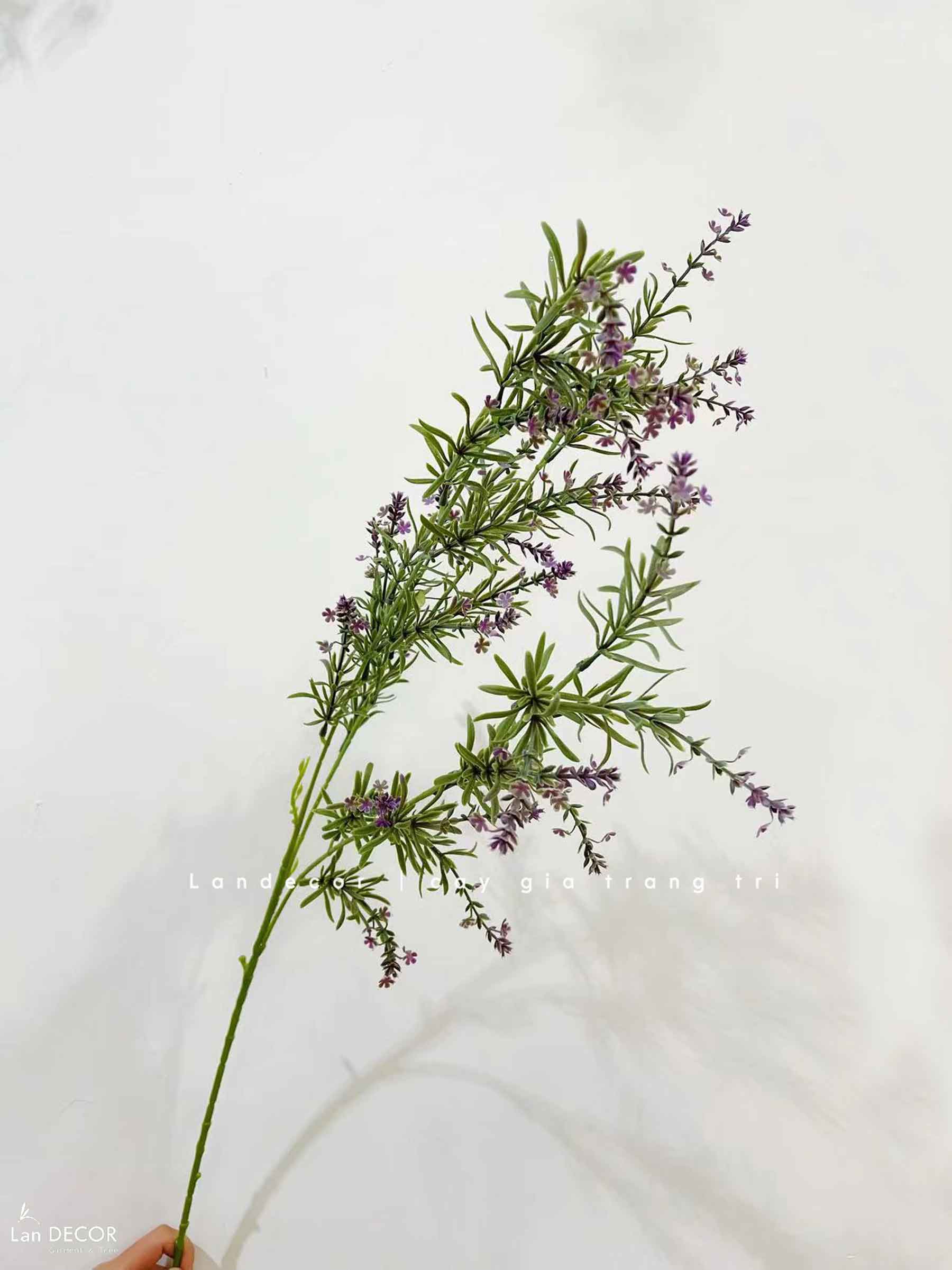 Cành Hoa Giả- Cành Hoa Oải Hương Lá Mốc Trang Trí (3 nhánh, 60-100cm)-HC1083