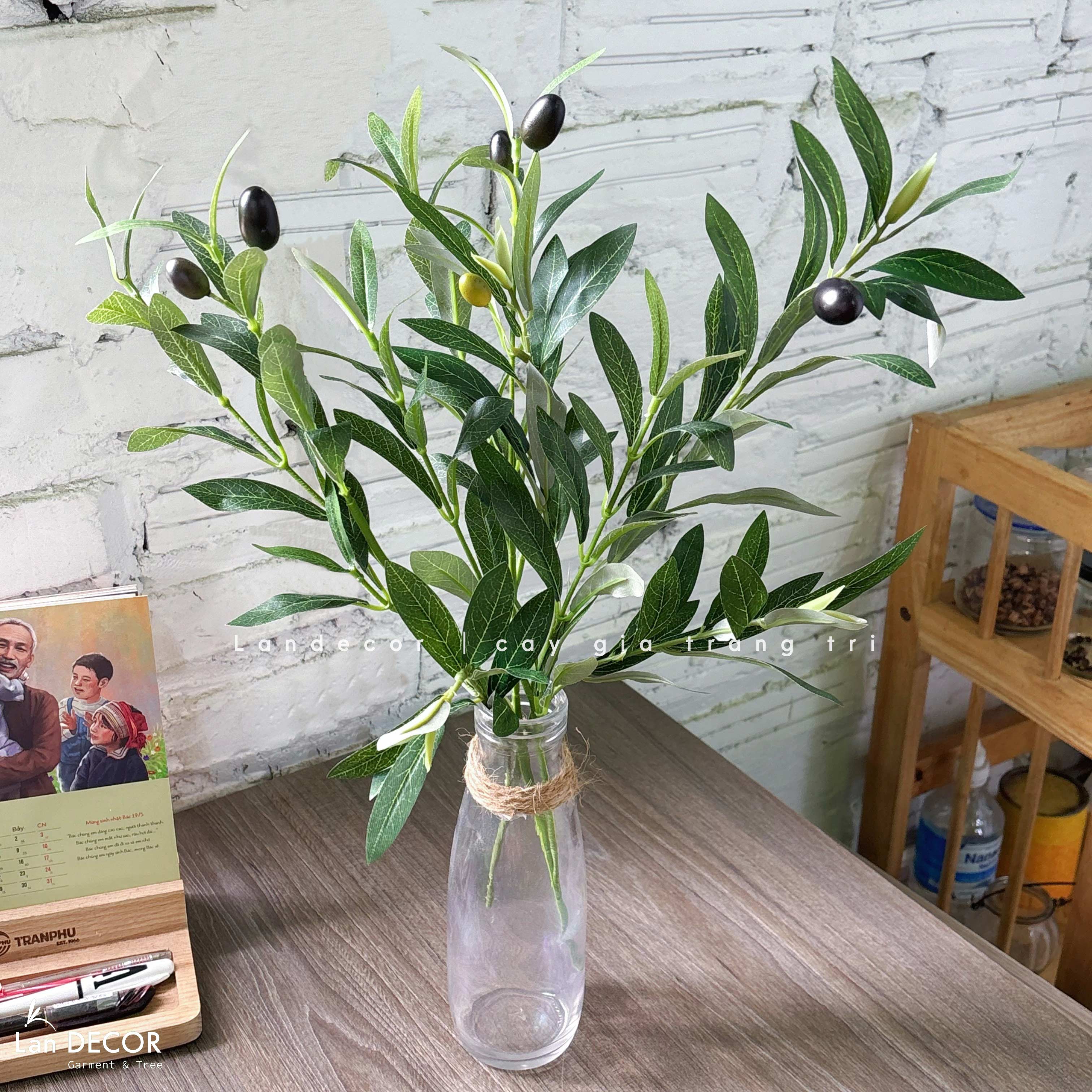Cành Lá Giả- Cành Lá Olive Thiết Kế Cây Giả Tiểu Cảnh - HC421, HC422