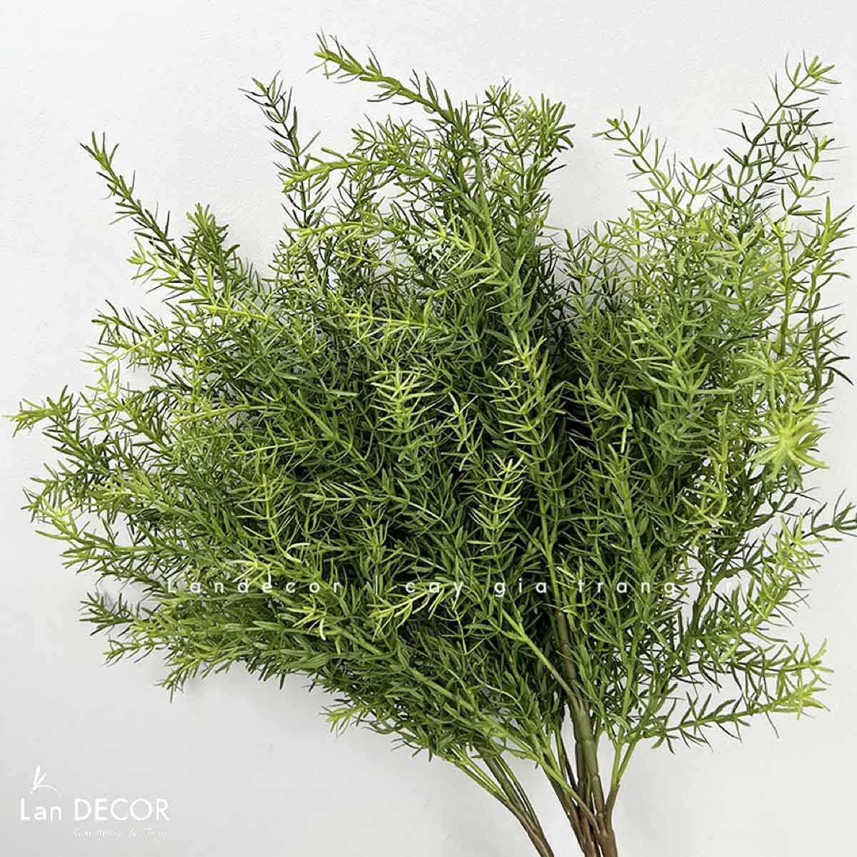 canh-la-gia 