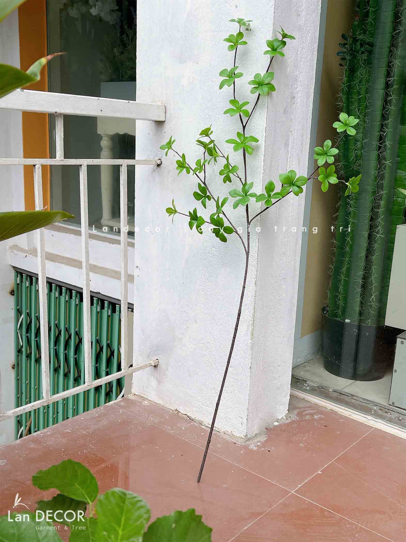 Cành Lá Giả Decor, Cành Thạch Nam Nhật Bản Trang Trí Nhà Đẹp - HC996