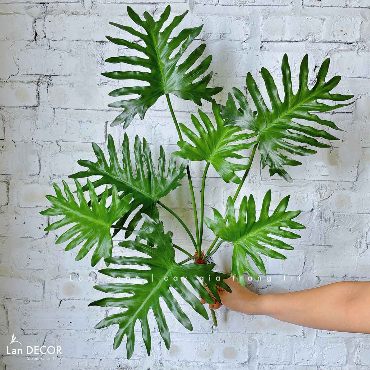 Cành Lá Giả- Cành Trầu Bà Thanh Xuân Thiết Kế Bồn Tiểu Cảnh Giả Xanh Tươi - HC1315