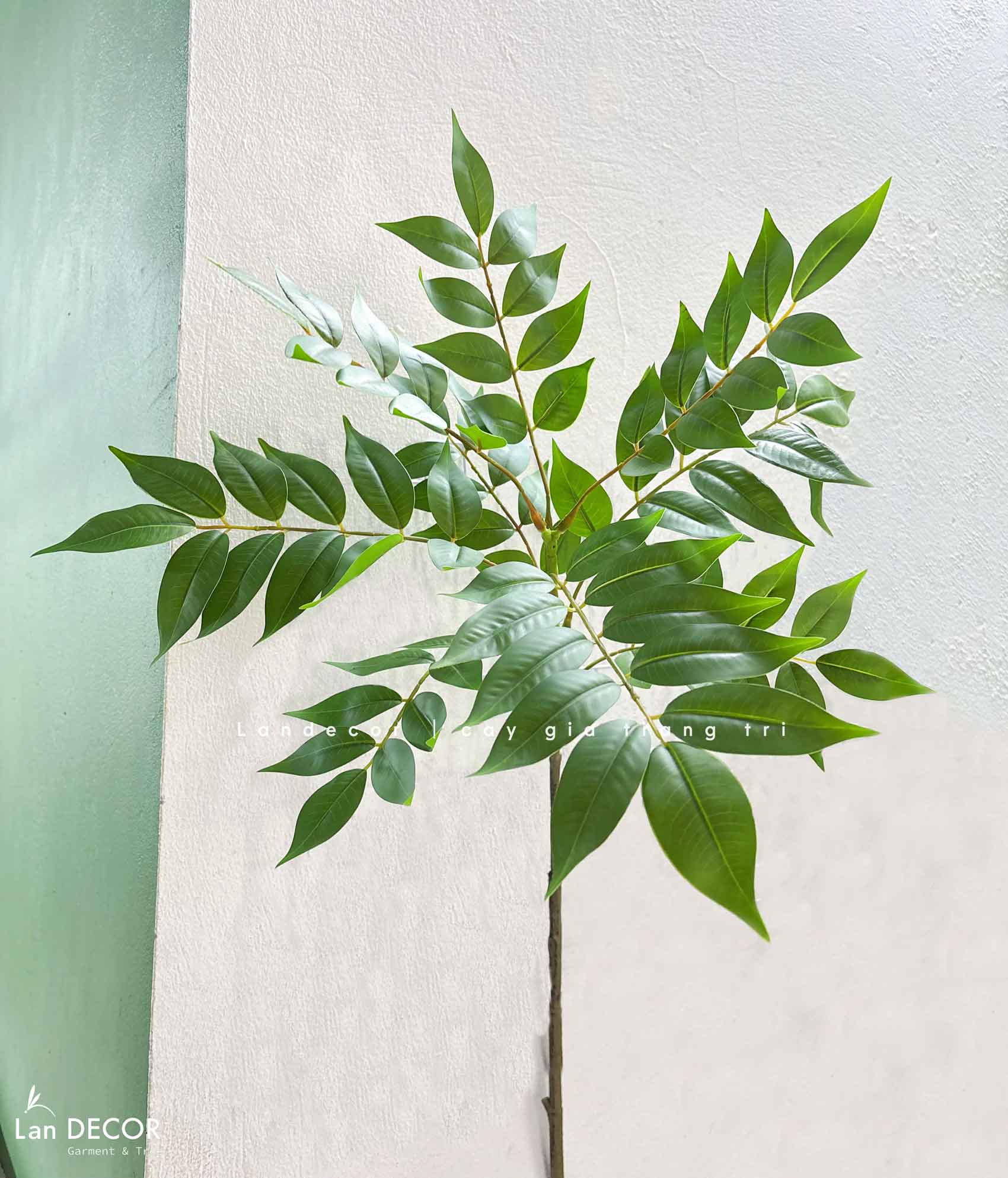 Cành Lá Giả - Cành Ưng Bất Bạc Giả Trang Trí, Thiết Kế Cây Giả Tiểu Cảnh (110cm)- HC1306