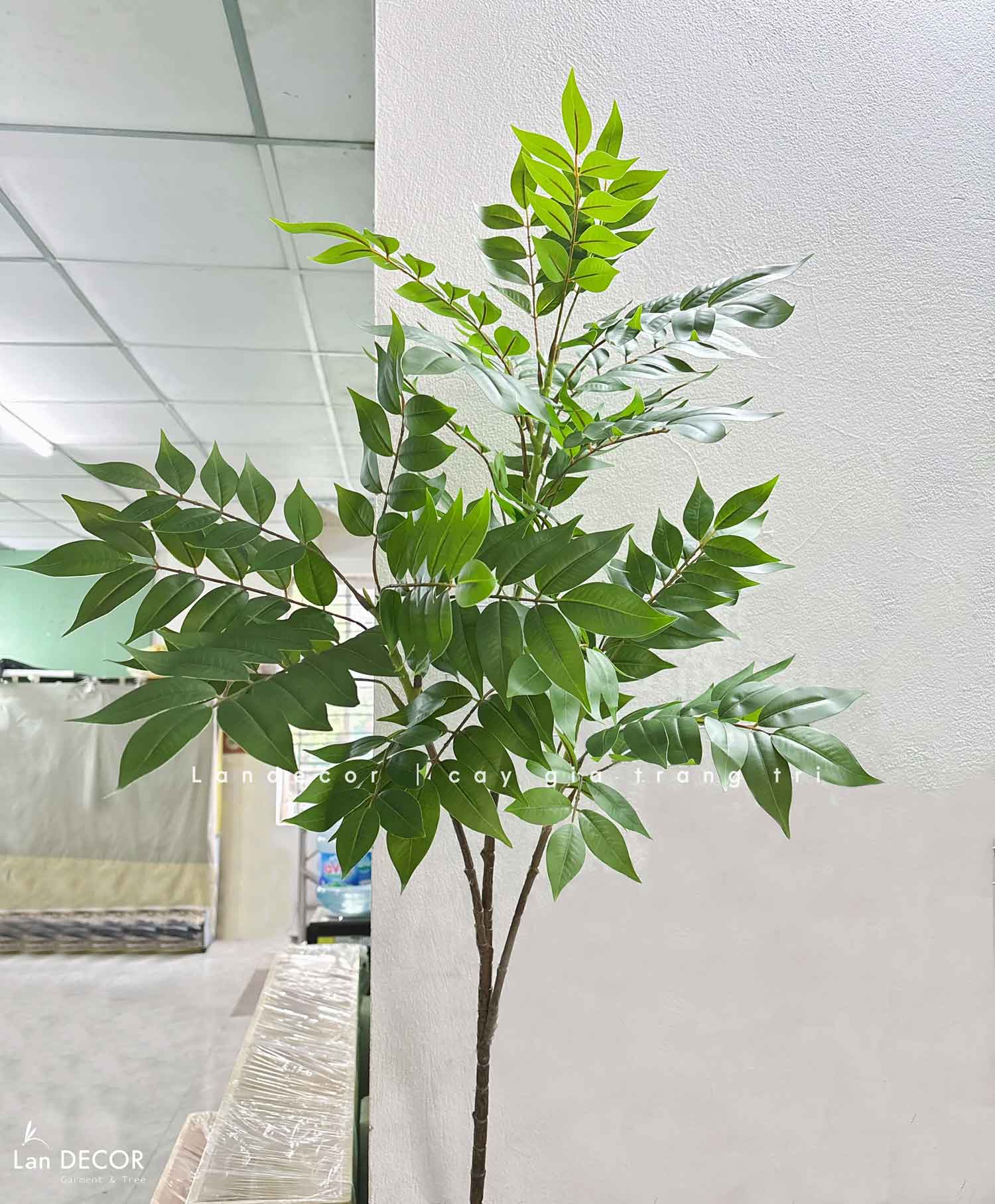 Cành Lá Giả - Cành Ưng Bất Bạc Giả Trang Trí, Thiết Kế Cây Giả Tiểu Cảnh (110cm)- HC1306