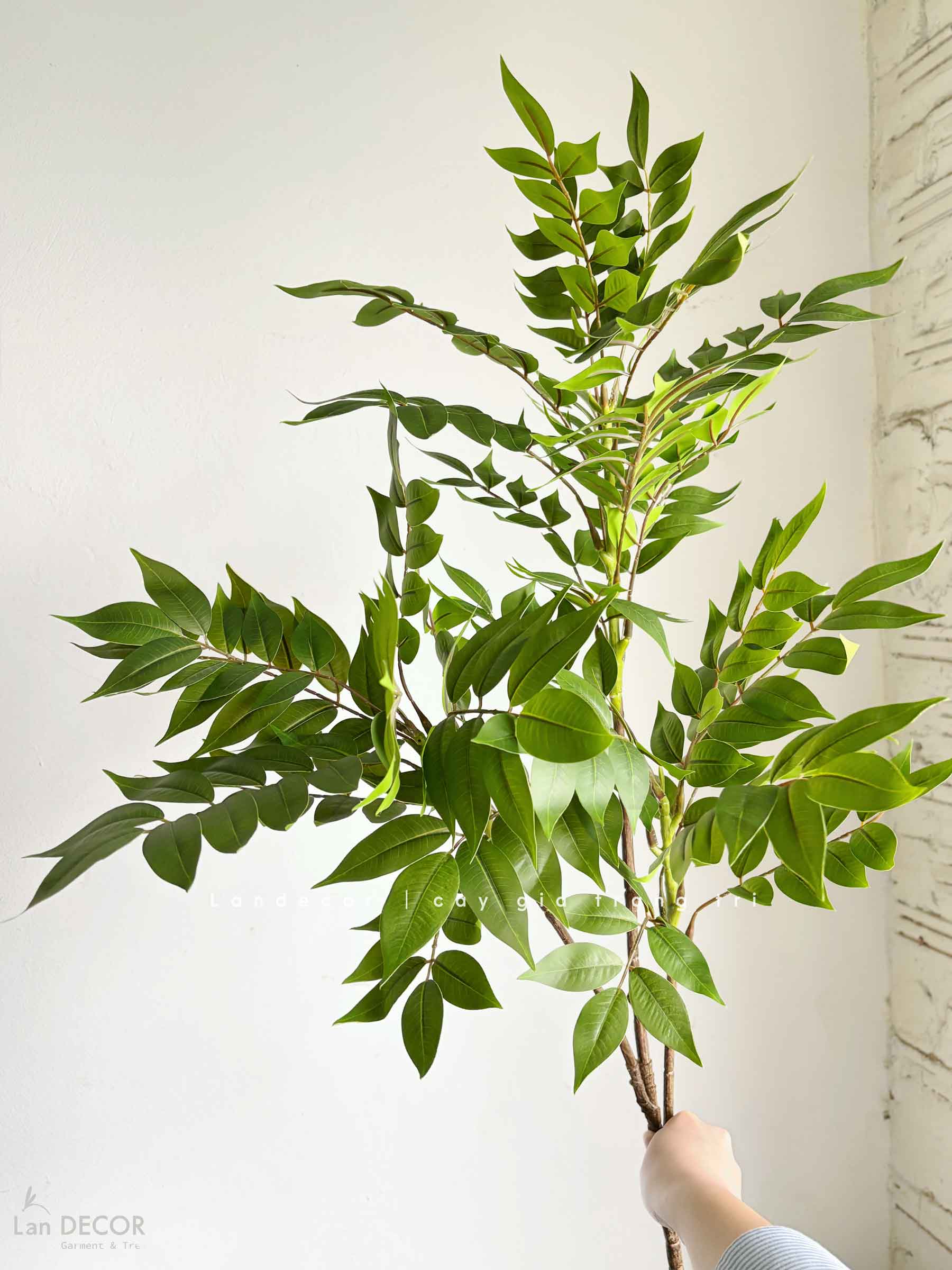 Cành Lá Giả - Cành Ưng Bất Bạc Giả Trang Trí, Thiết Kế Cây Giả Tiểu Cảnh (110cm)- HC1306