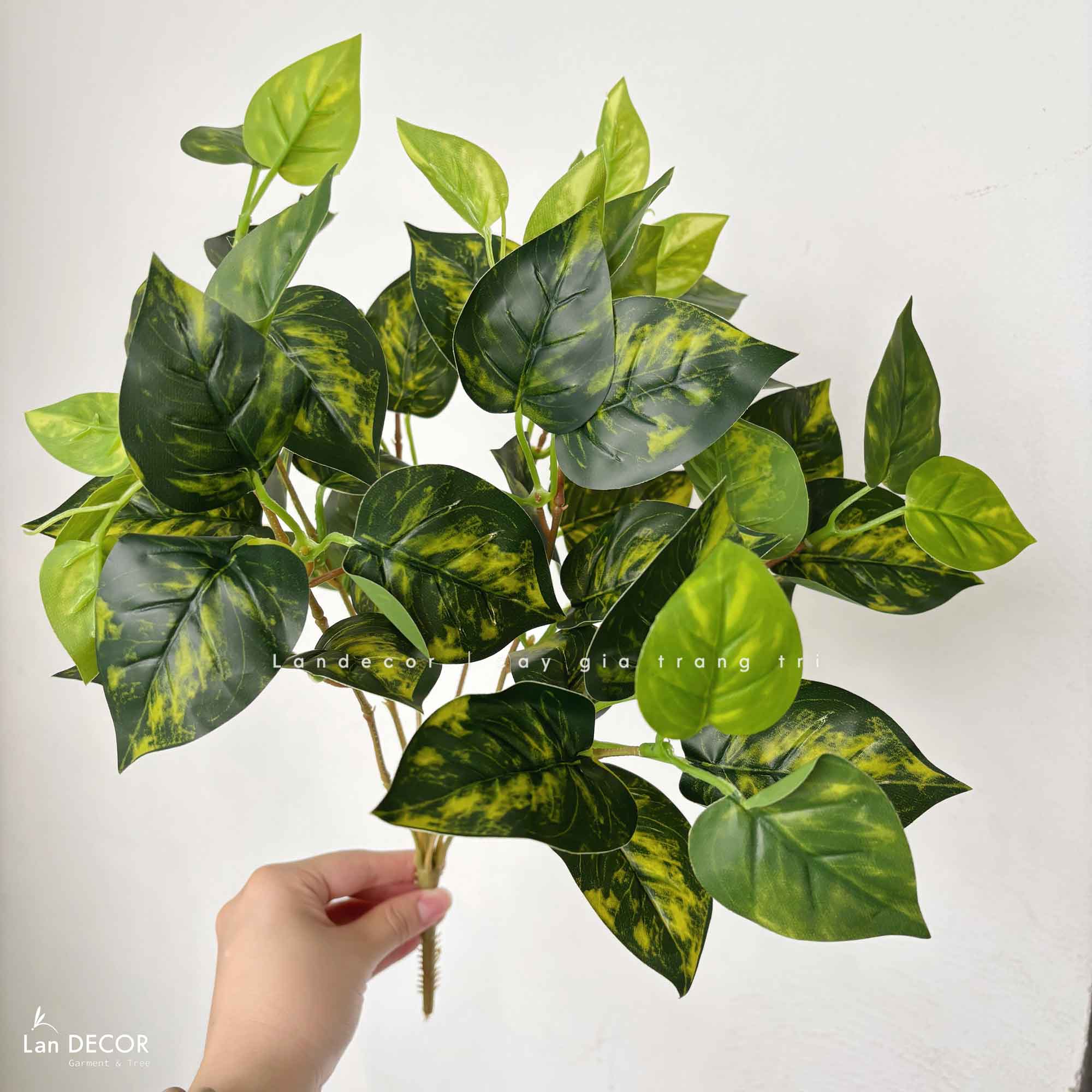 Cành Lá Giả Decor- Cành Vạn Niên Thanh Loang Trang Trí Tiểu Cảnh (40cm)- HC1095